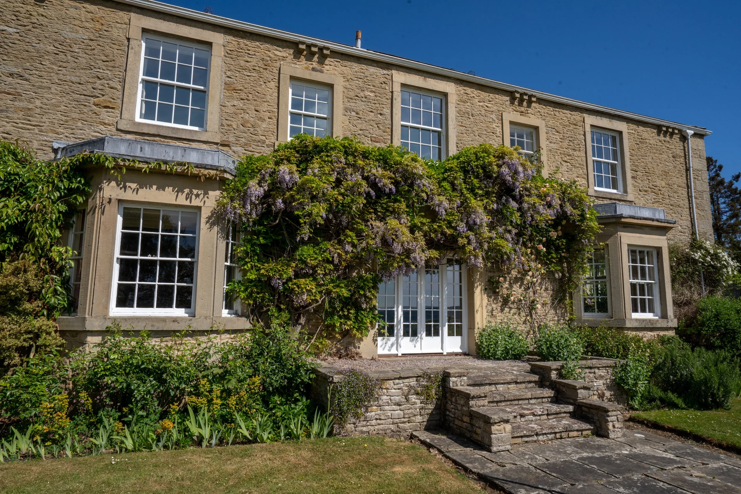 wisteria house window 5 .jpg