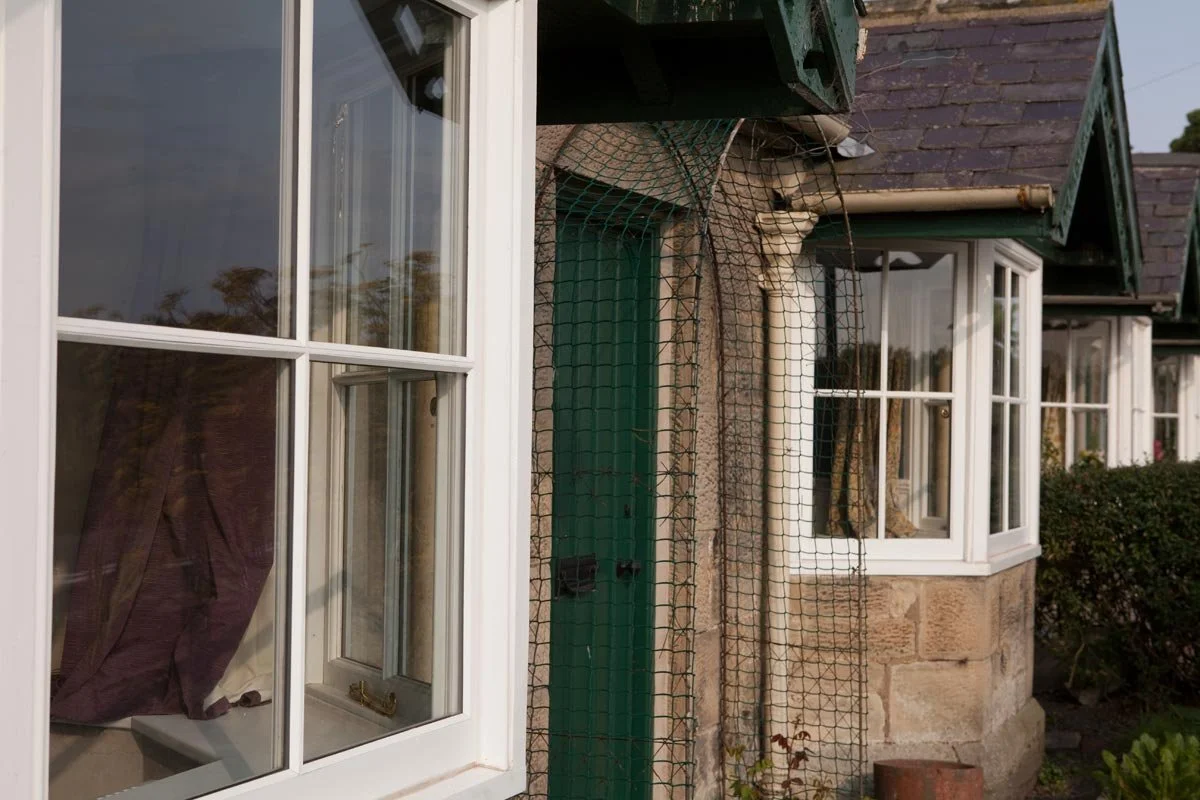 The exterior of a brick house with white-framed windows, green door, and a climbing net attached to the wall near the door. A bush is visible on the right side.