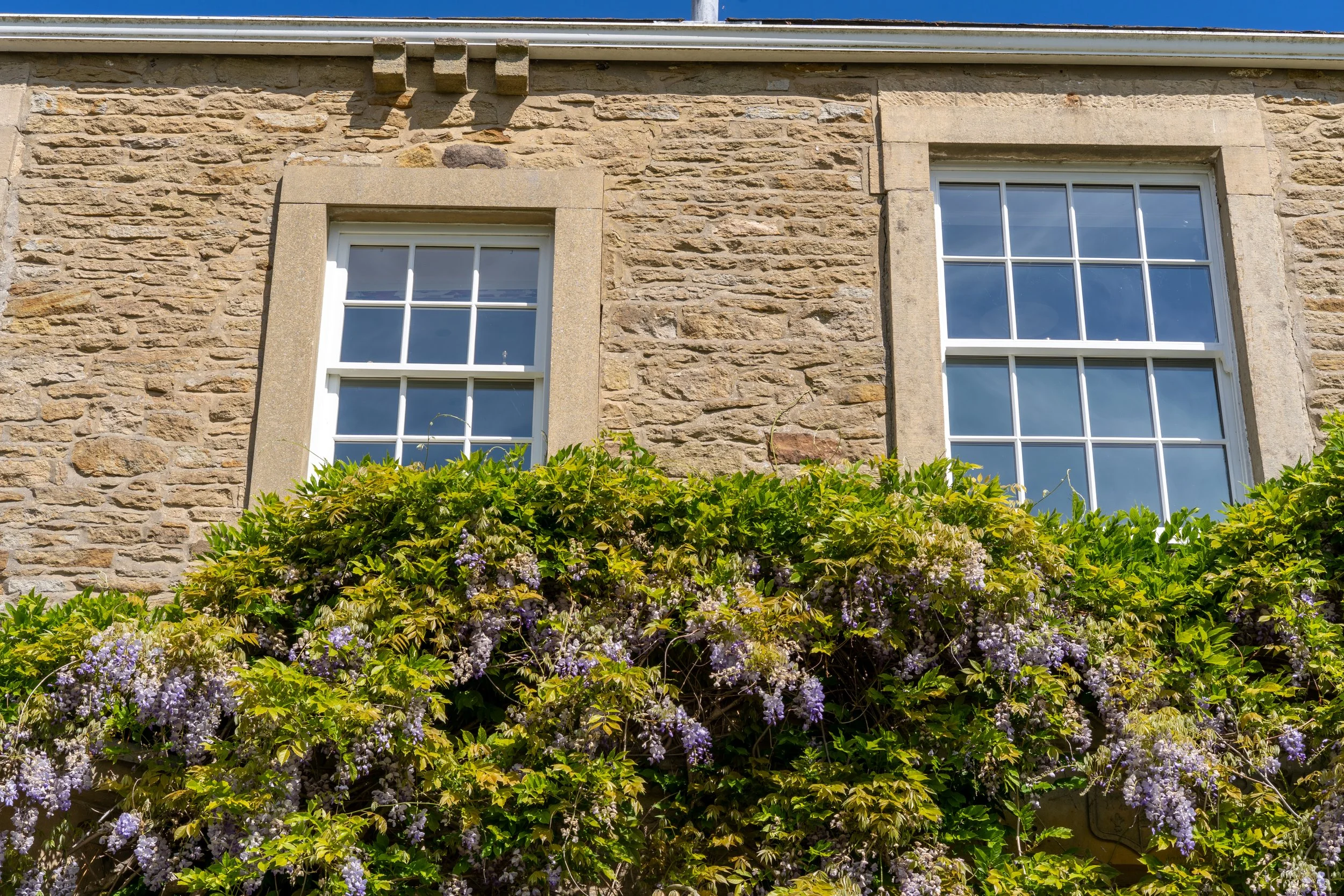 wisteria house window 2 .jpg