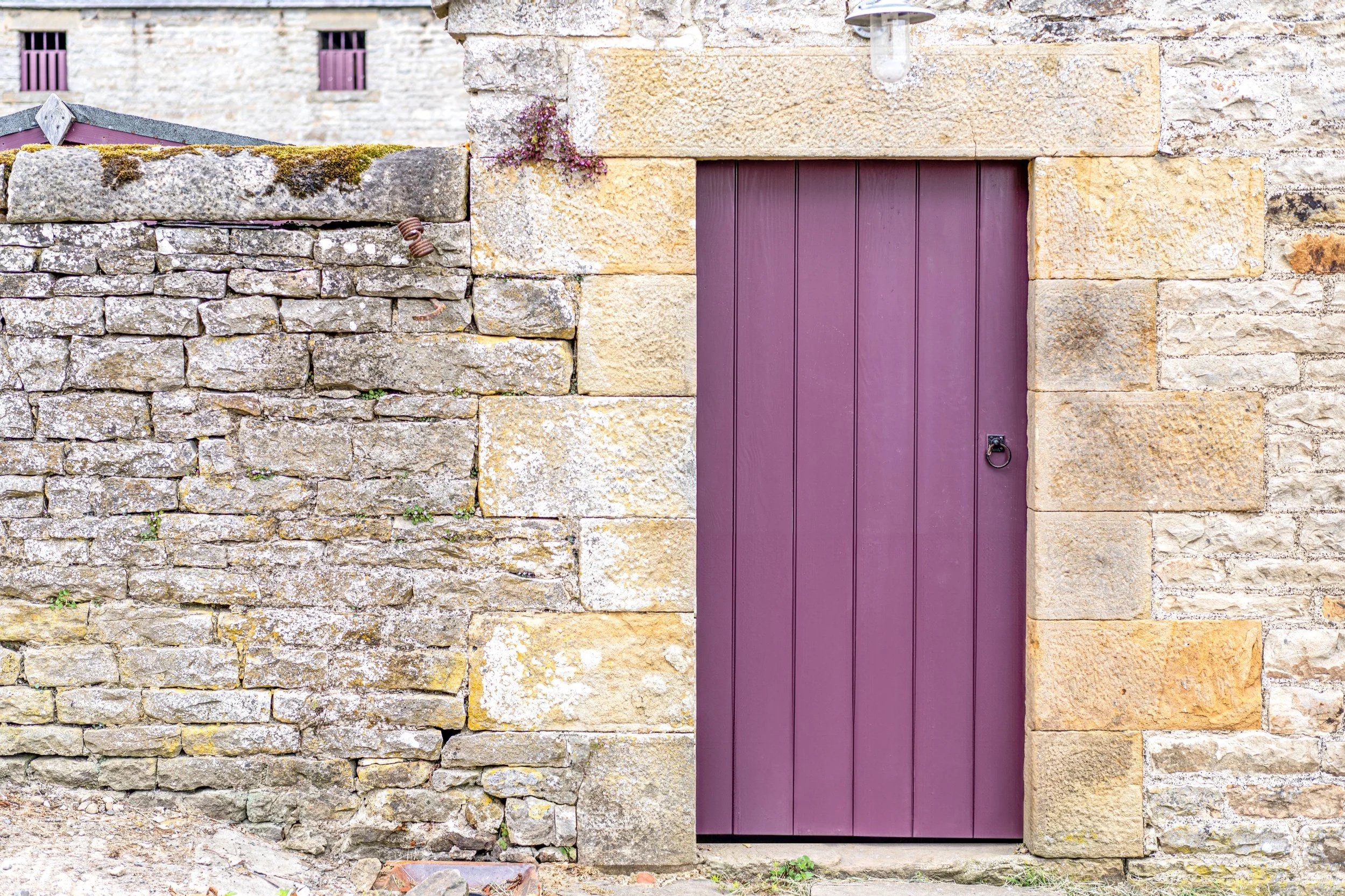 A purple wooden door set in a stone wall with a ring door knocker on the right side of the door, and an outdoor light fixture above.