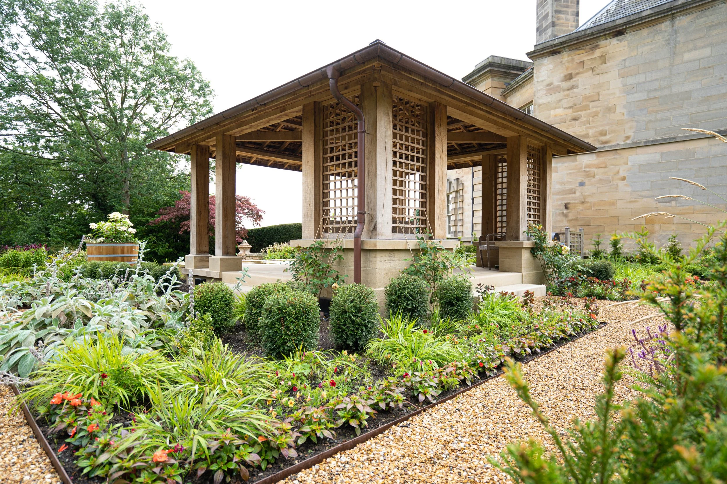 green oak canopy 3 .jpg