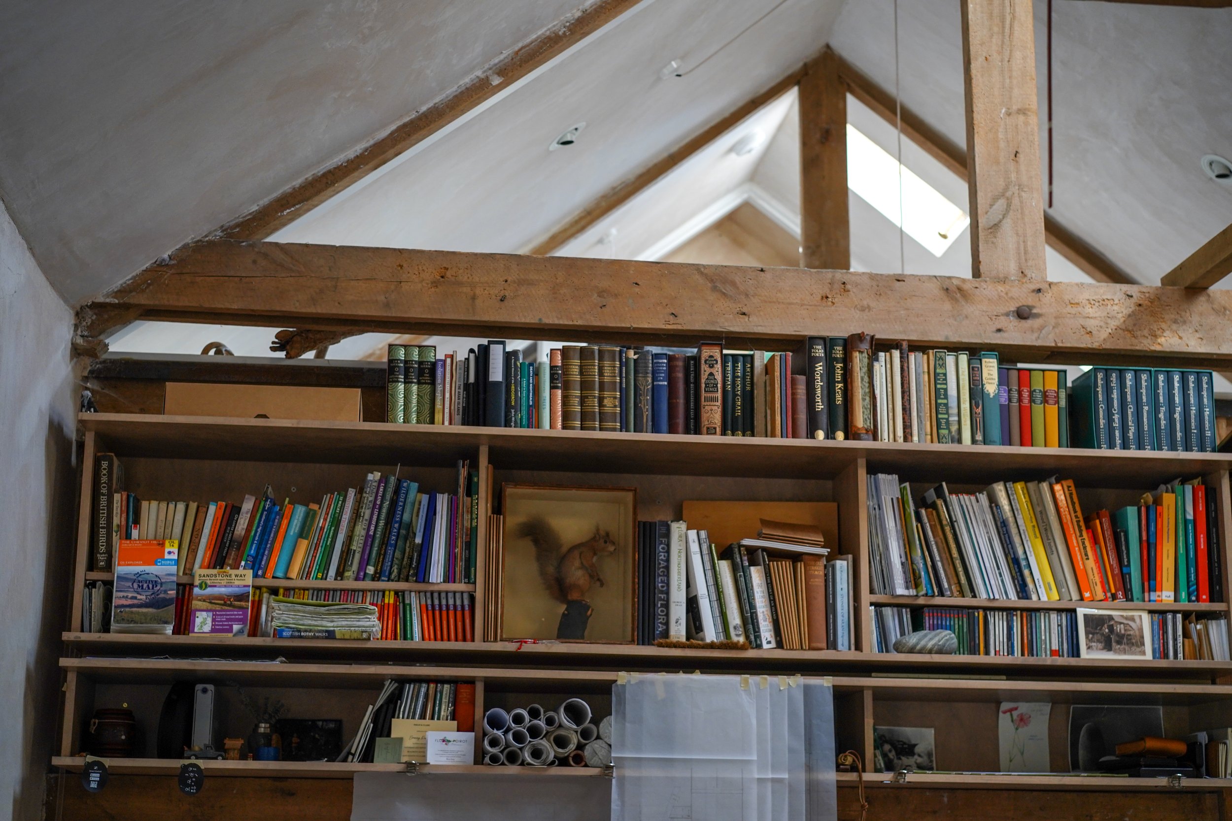 architect shelves 2 .jpg