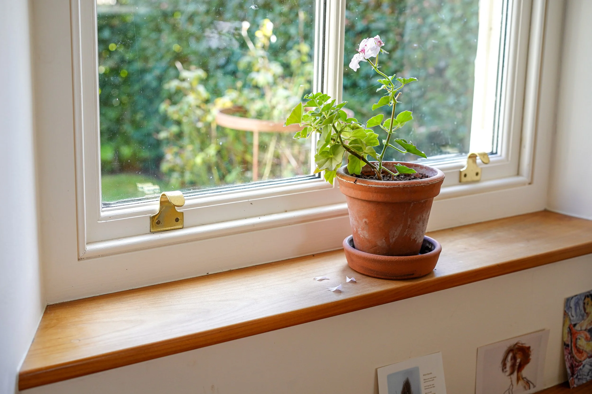 cottage sash windows .jpg