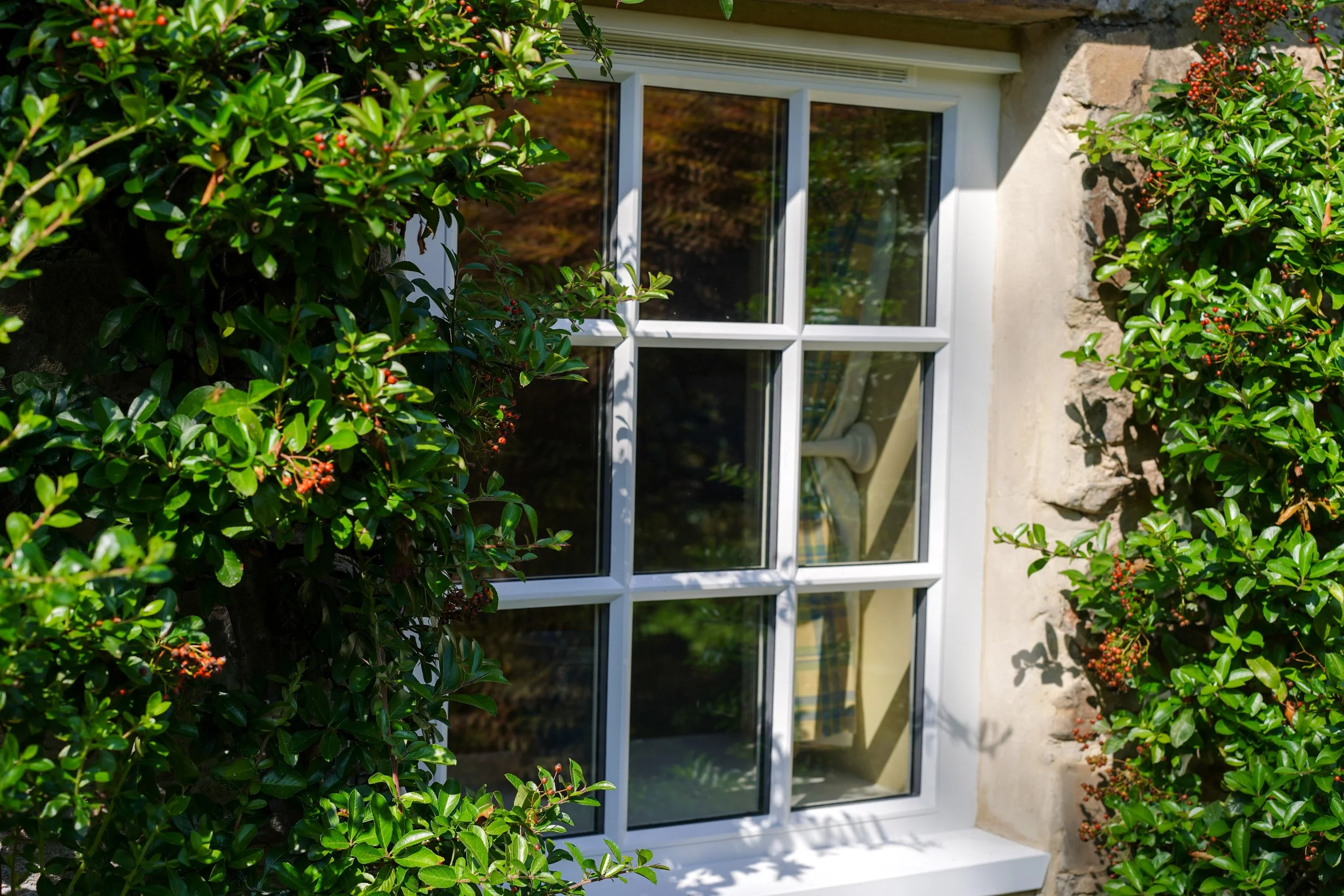 cottage windows 3 .jpg
