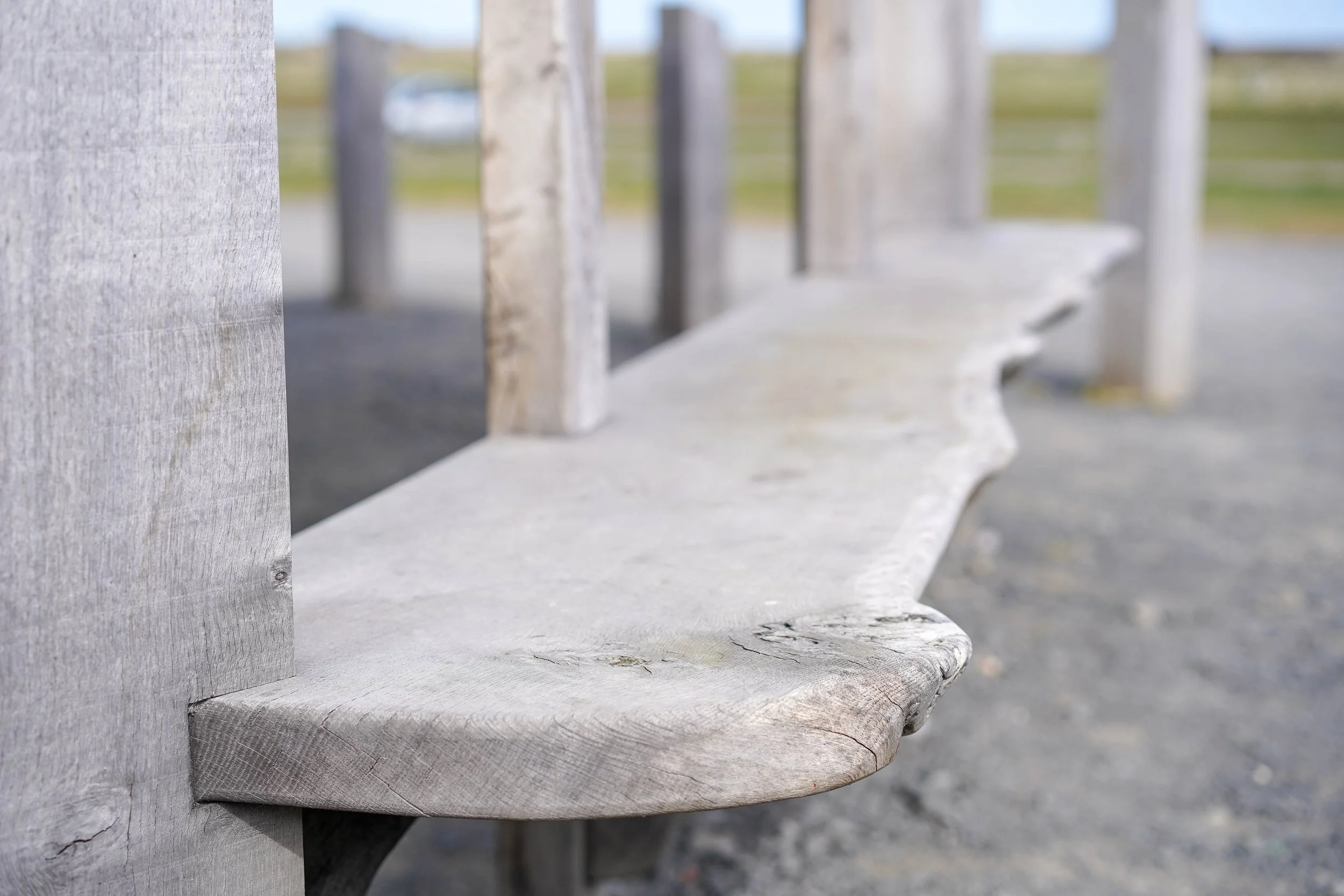 holy island canopy 6 .jpg