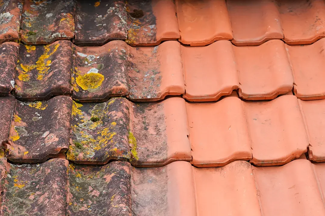 Toiture avec des tuiles anciennes moussus et des tuiles neuves en bon état.