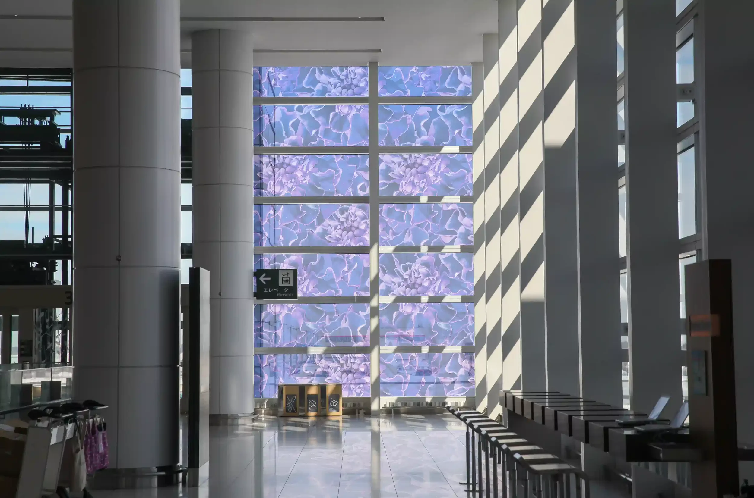 airport-hall-transparent-screen-floral-digital-art-immersive-design-fu2ion.webp