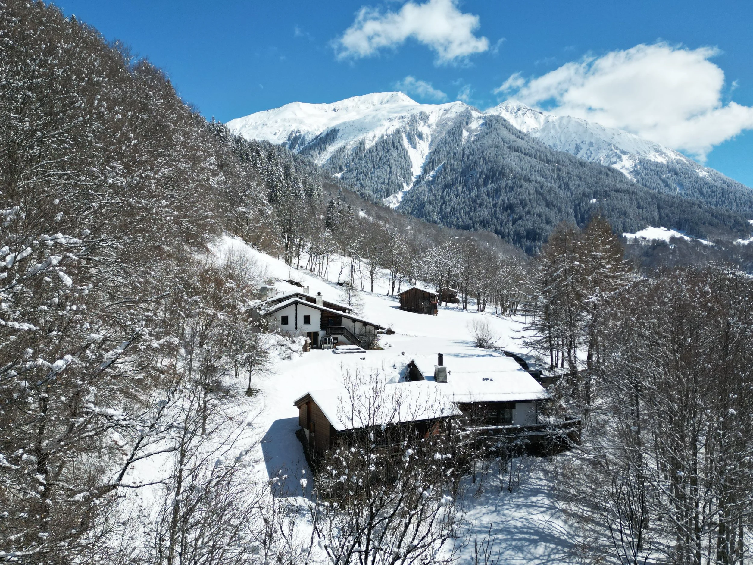Secure Alpine Chalet in Winter: Snow-Covered Trees, Private Road, Helipad – Ultimate Privacy & Luxury for WEF Politicians, Decision-Makers & Global Leaders Booking Premium Swiss Retreat Now.