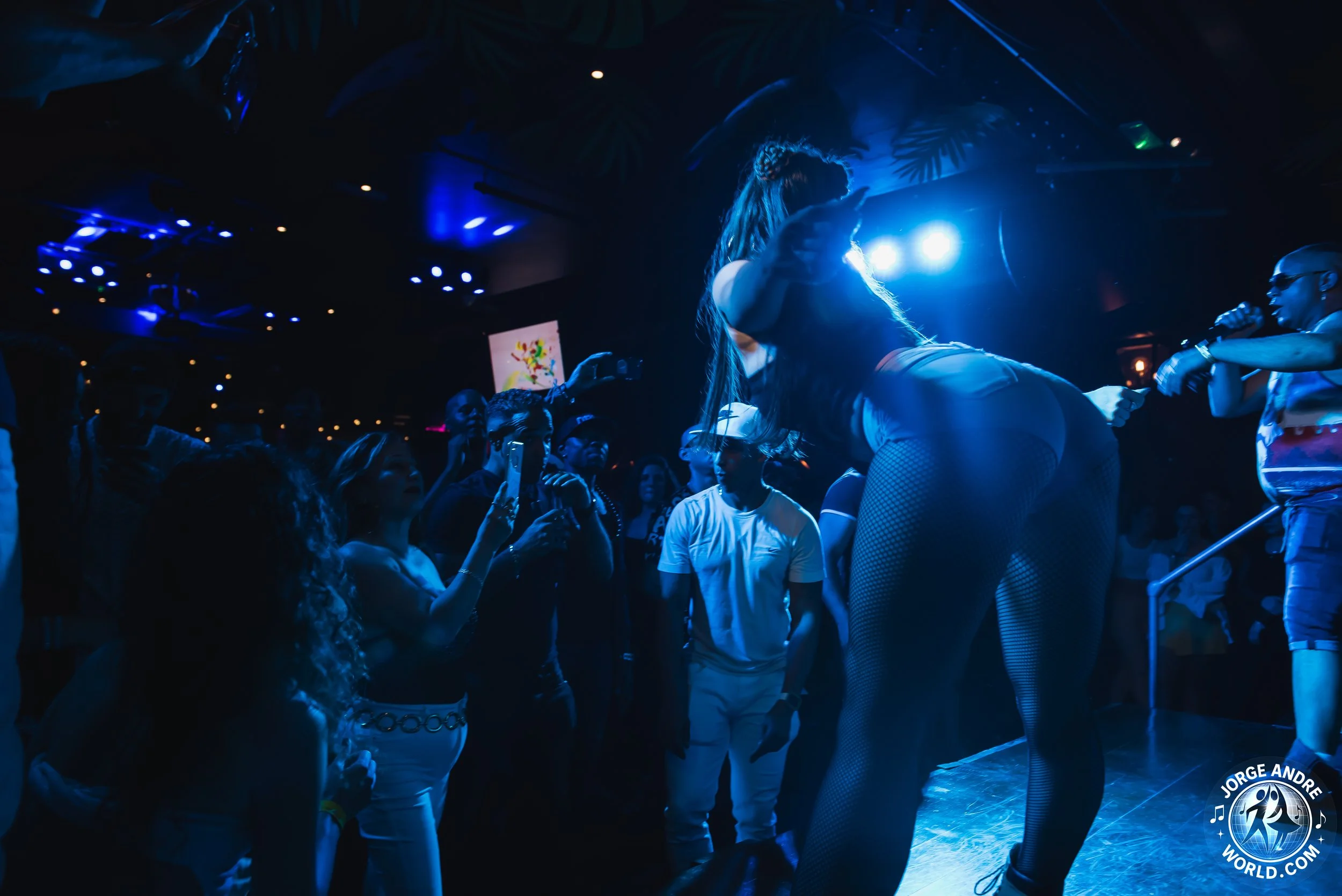 A female performer on stage in fishnet tights, leaning forward towards an audience in a dimly lit club or concert venue with blue lighting, with people taking photos and videos.