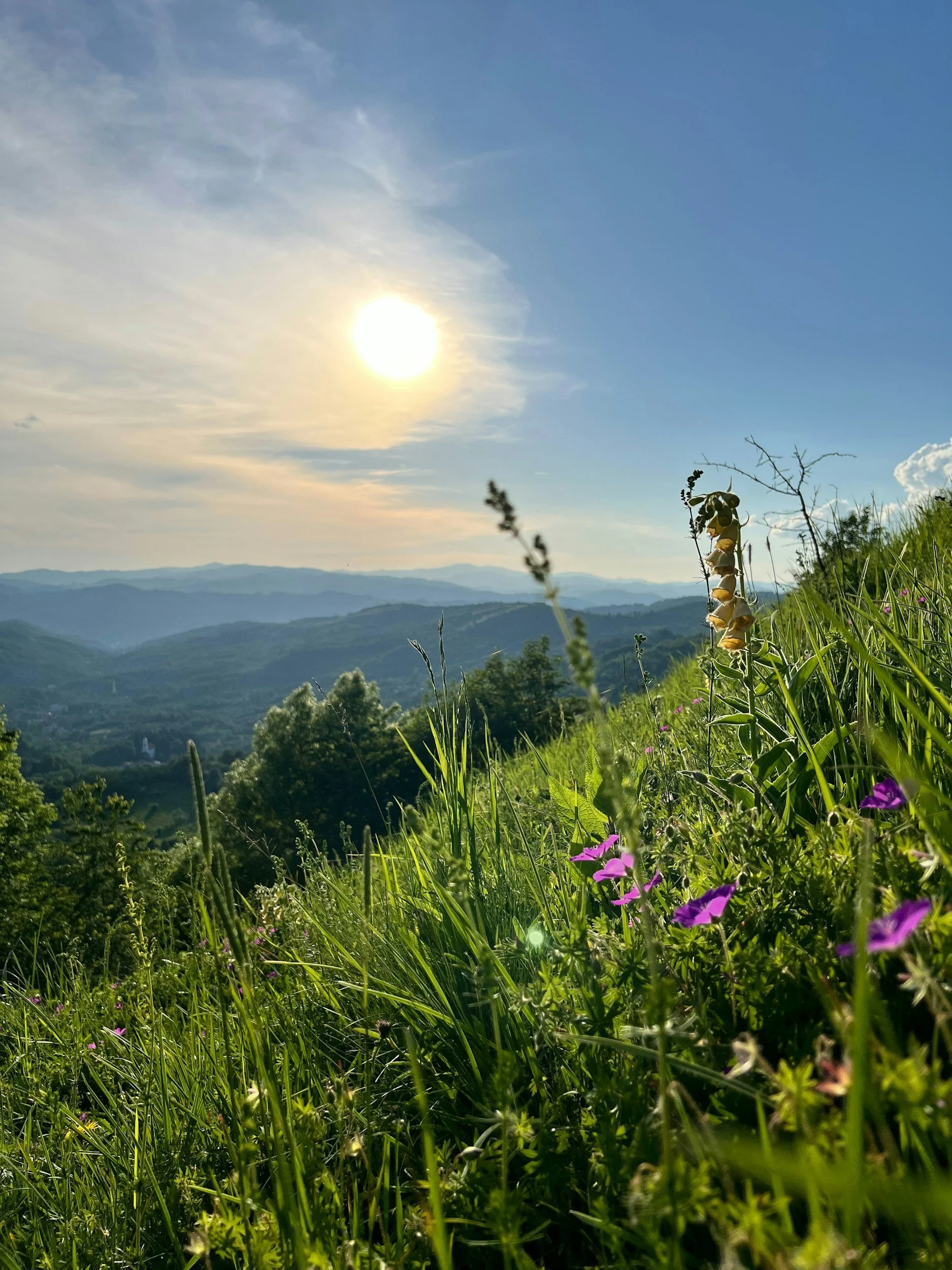 Un paysage de campagne avec des montagnes à l'horizon, un ciel en partie nuageux avec le soleil brillant, de l'herbe verte et des fleurs sauvages colorées au premier plan.