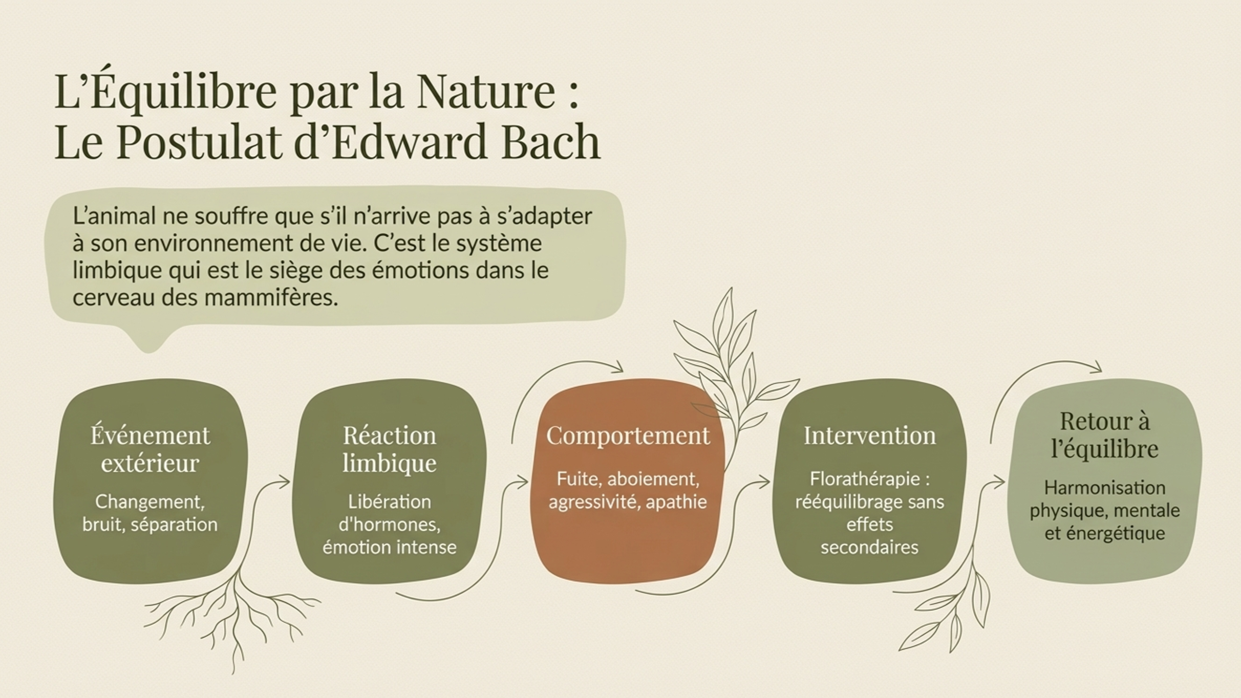 Diagramme illustrant le postulat d'Edward Bach sur l'équilibre par la nature, avec différentes étapes comme événement extérieur, réaction limbique, comportement, intervention et retour à l'équilibre, accompagné d'une explication textuelle.