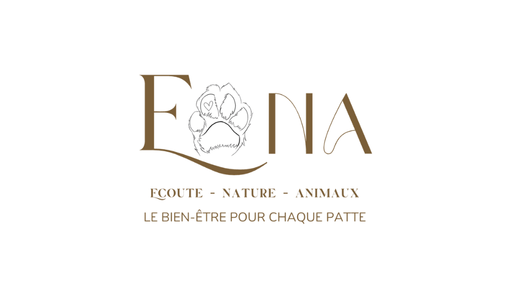 ENA-bien-être.com