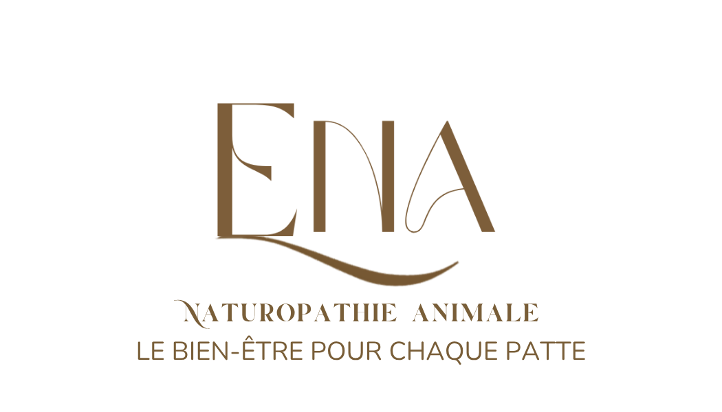 ENA-bien-être.com