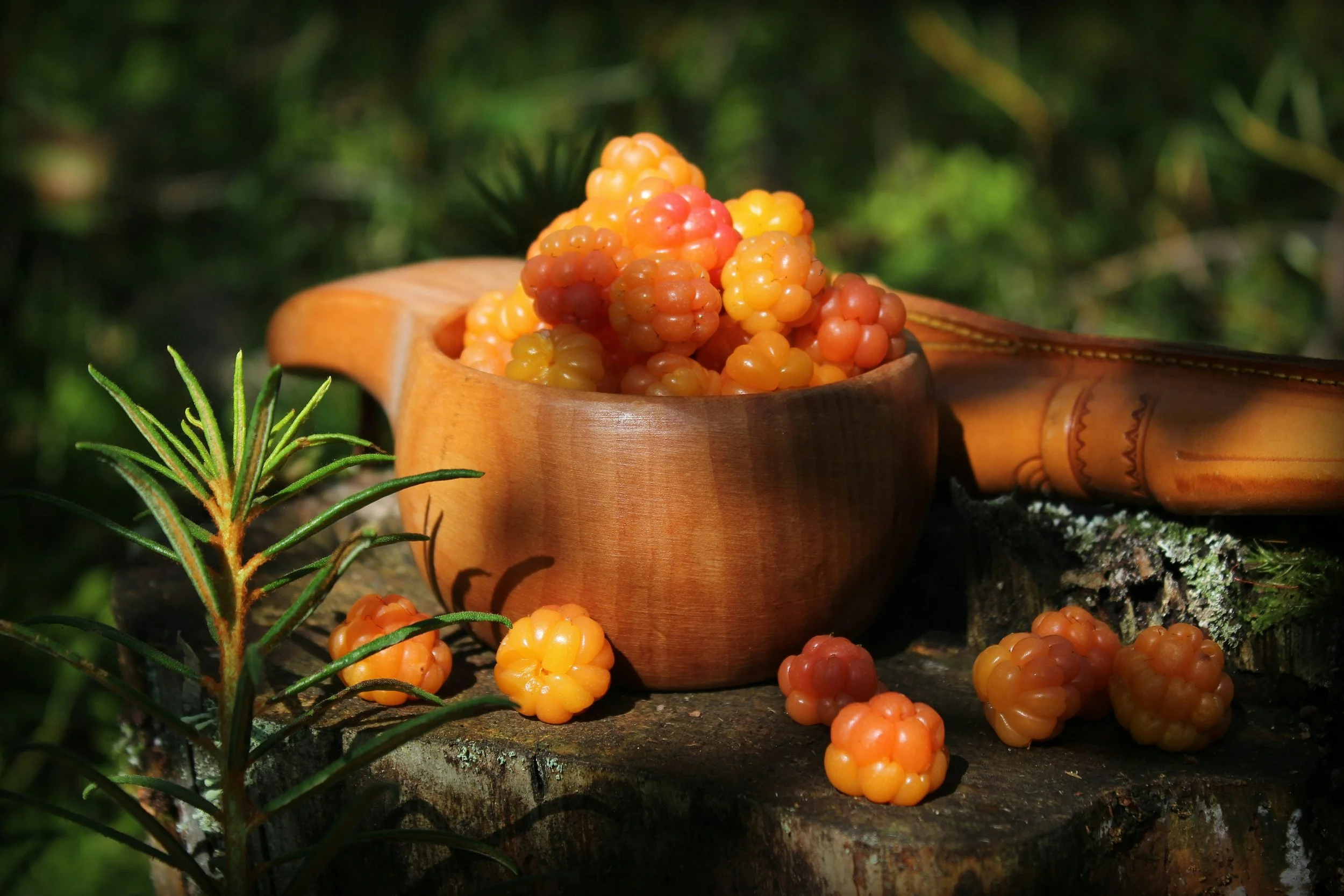 Cloudberry Ingredients