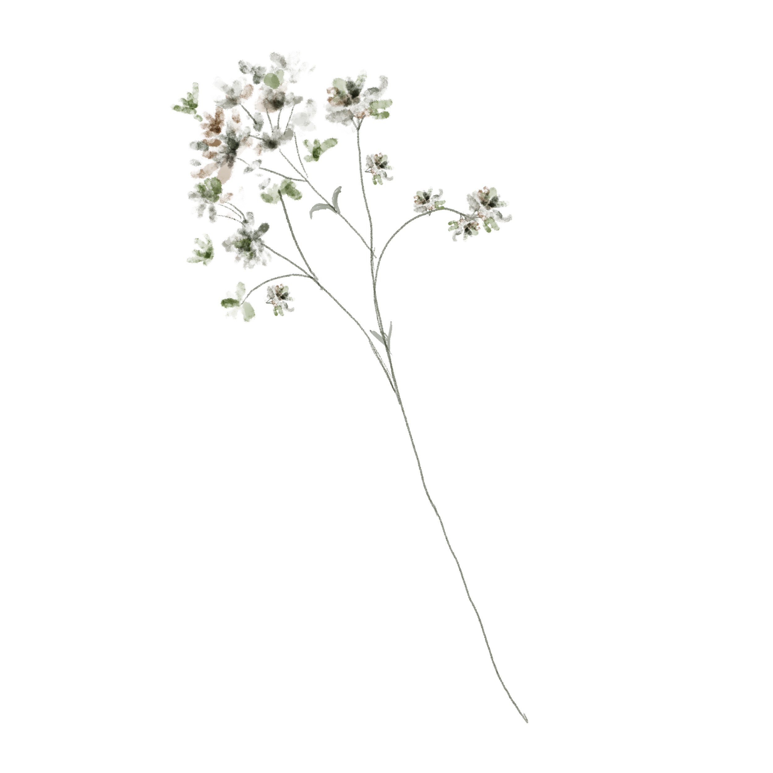 Aerial view of a residential neighborhood with houses, trees, and driveways.