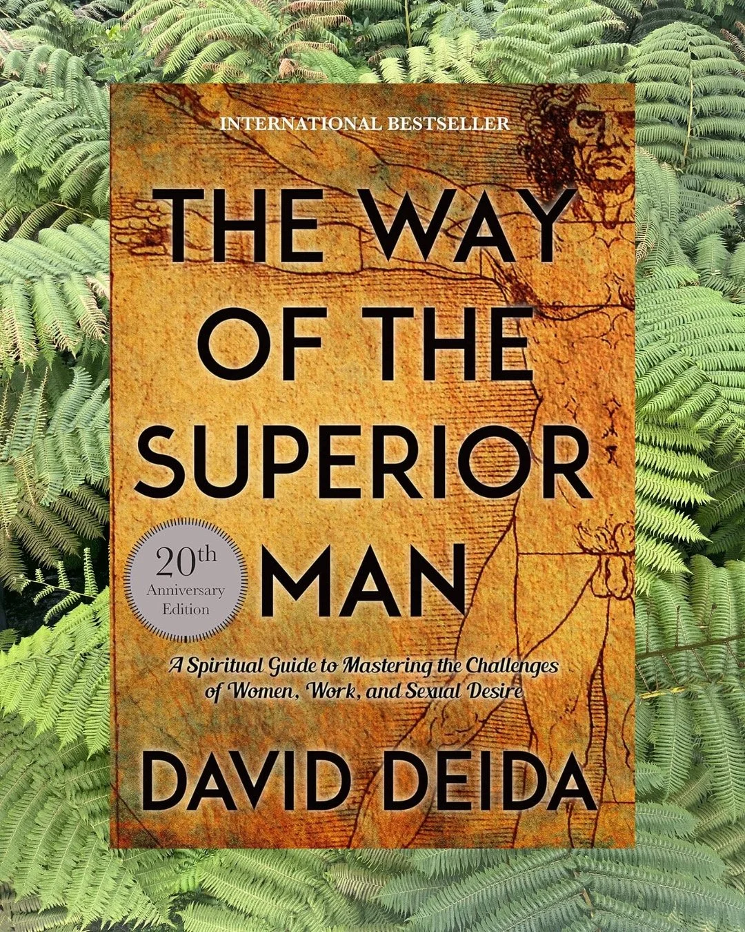 Reading The Way of the Superior Man by @daviddeida.live Deida has given me a lot to reflect on.

At its heart, it&rsquo;s an invitation to:
&bull; Live with purpose
&bull; Stay present under pressure
&bull; Ground your relationships in depth and hone
