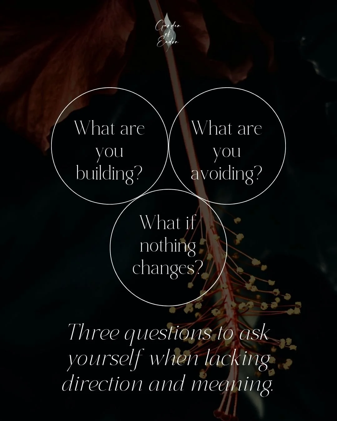 One of the things I hear often from men is not just struggle &mdash; but a lack of direction.

Not knowing what they&rsquo;re aiming toward.
Not feeling clear on what matters.

From the outside, life may look stable &mdash; work, responsibilities, ro