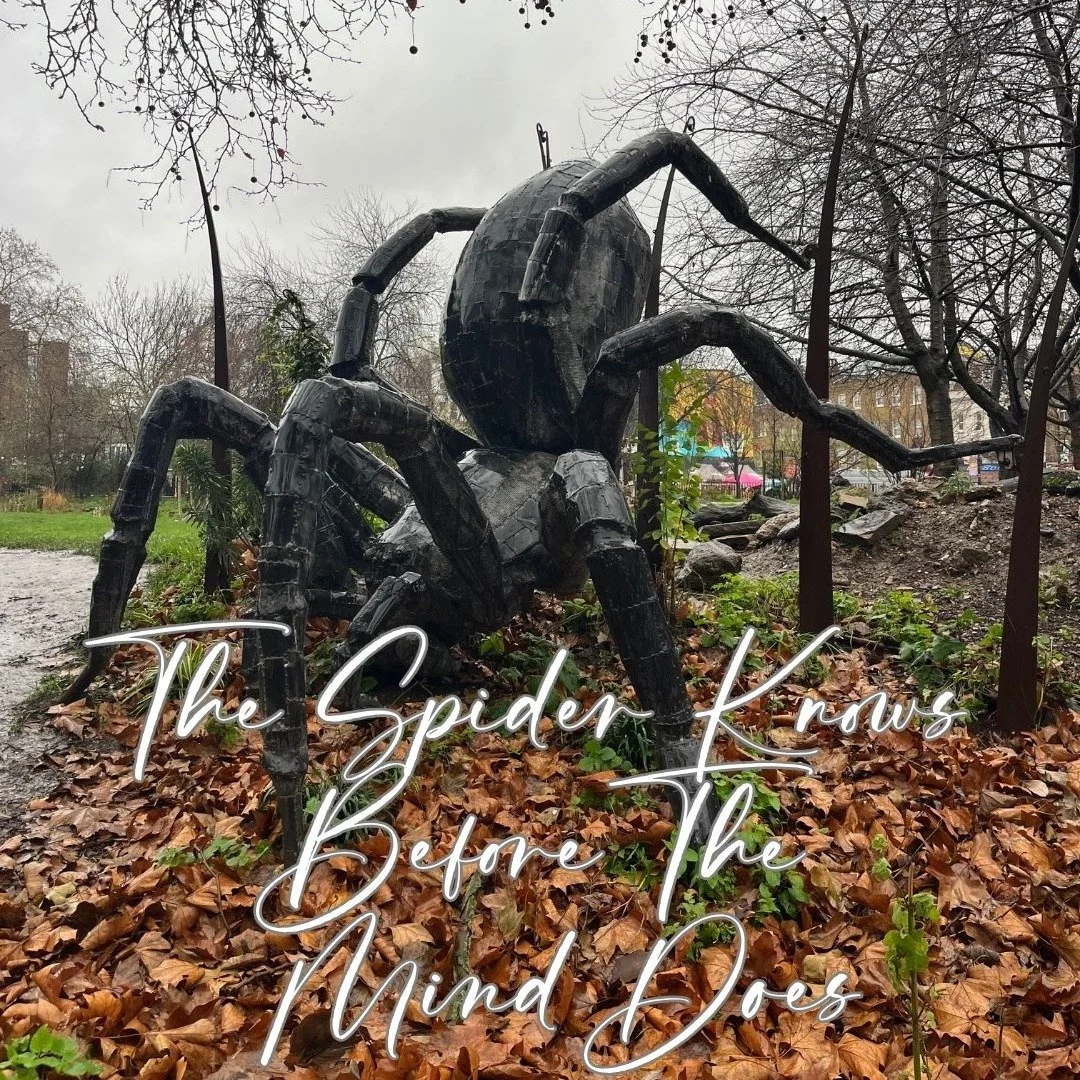 This week I spoke about the transpersonal &mdash; a way of understanding ourselves that goes beyond labels and thoughts alone.

The spider sits on its web, sensing every vibration. It responds to what it feels, not just what it thinks.

We are not so