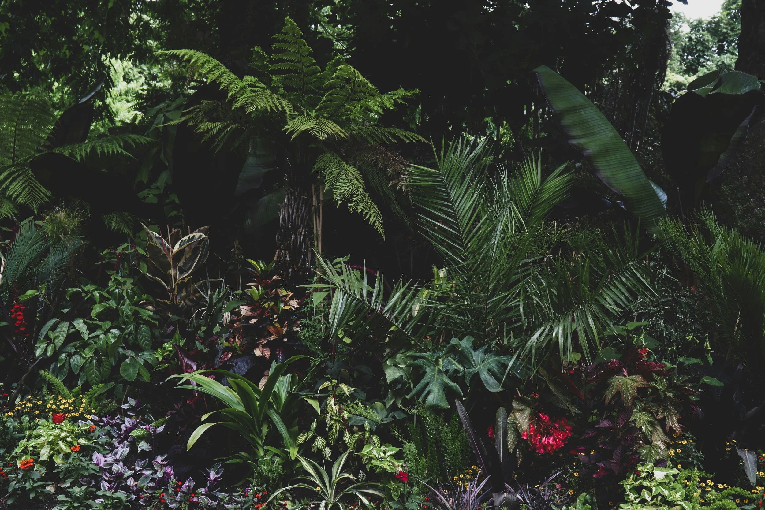 Lush tropical plants and trees with various green foliage, some flowering plants with red, purple, and yellow blossoms, creating a dense jungle scene.