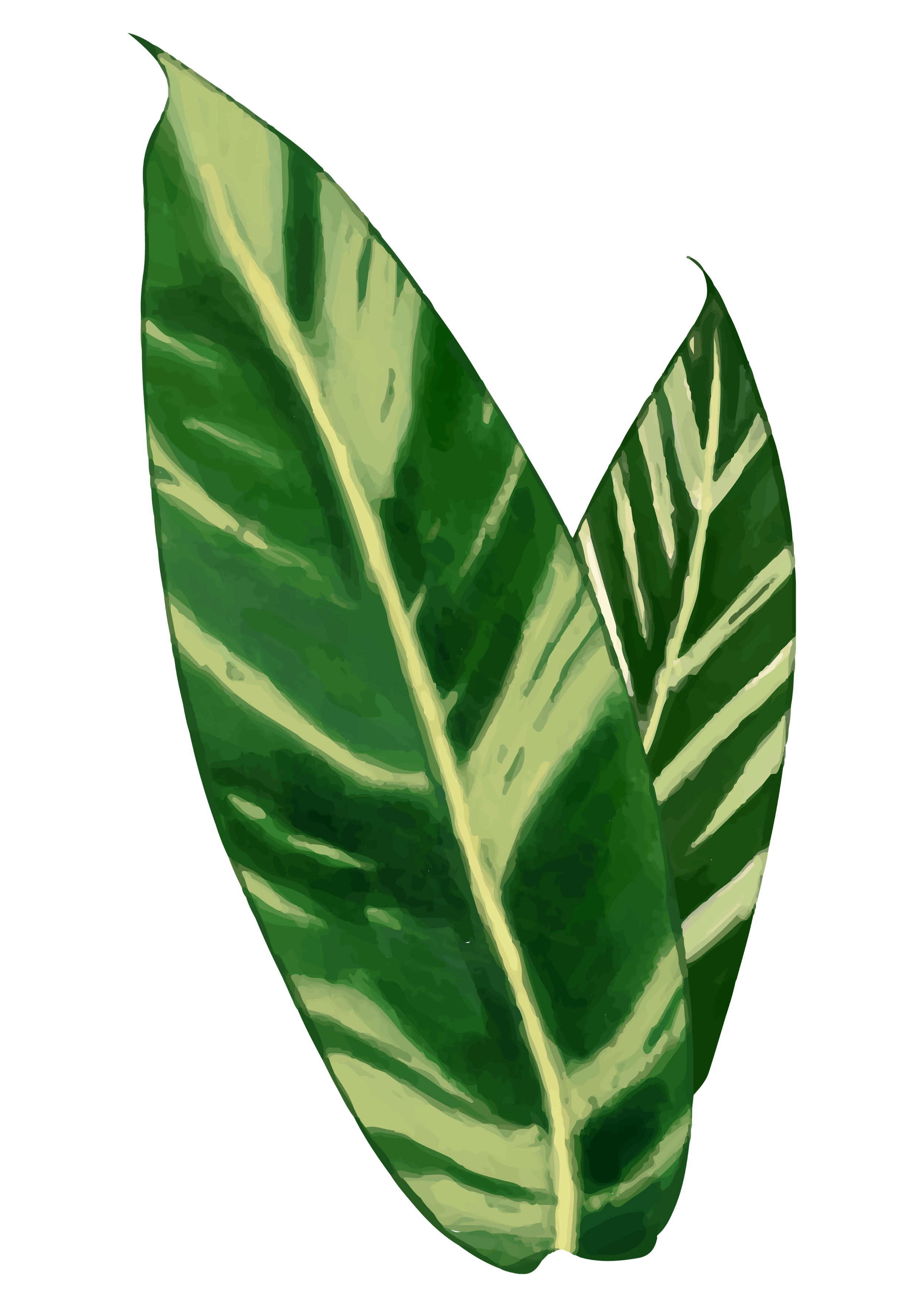 Digital illustration of two green leaves with yellowish veins, set against a black background.