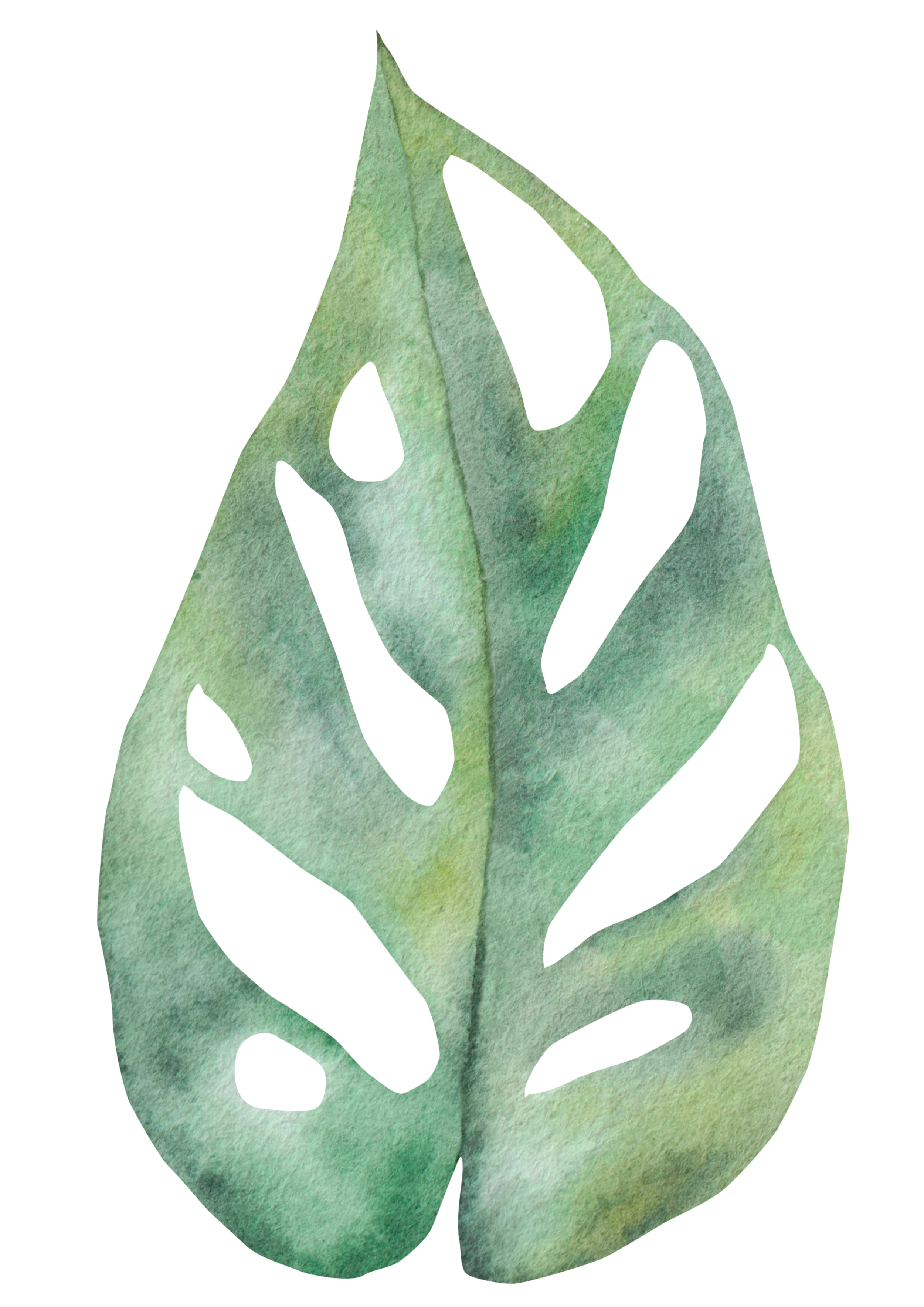 A green, dried leaf with multiple cutout holes, showing purple and pink lines behind it.