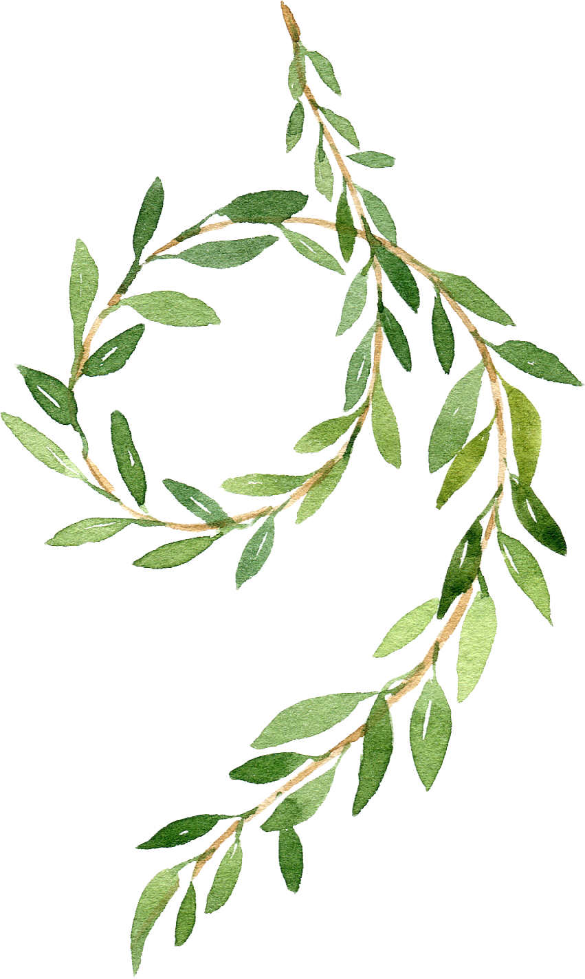A watercolor illustration of a green leafy branch with multiple small, elongated leaves.