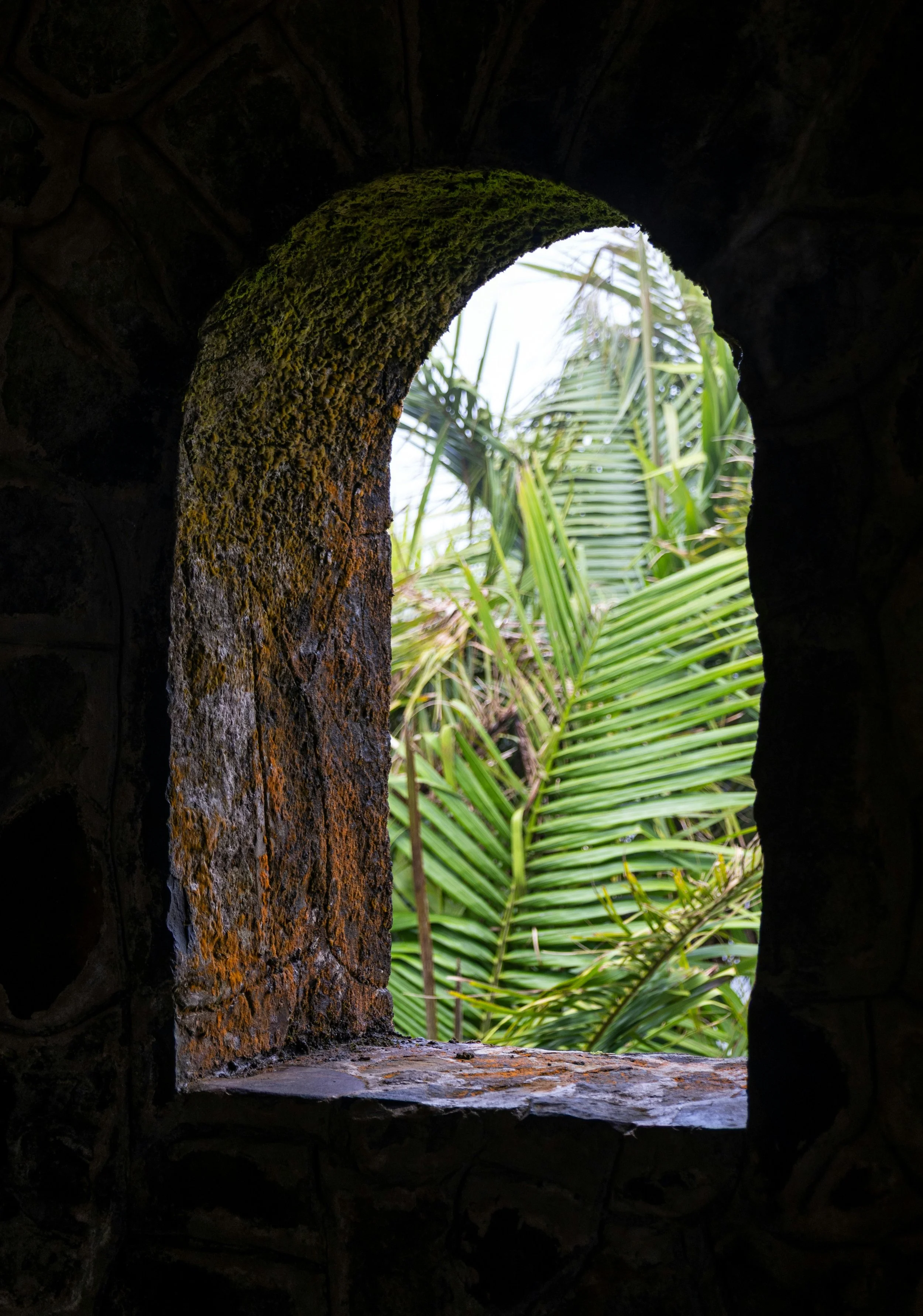 View through an old stone window to green tropical palm leaves.