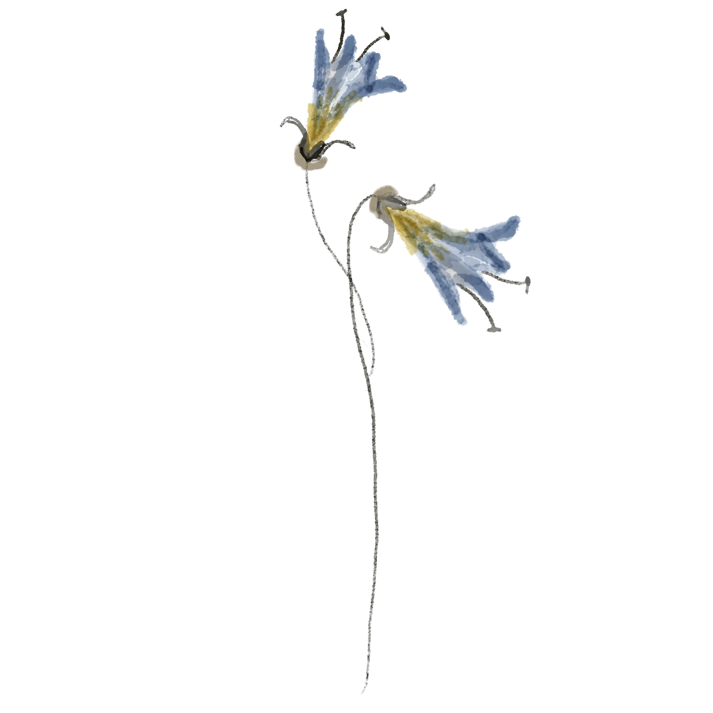 Diagram showing water leaking from two points in a corner of a wall and ceiling.