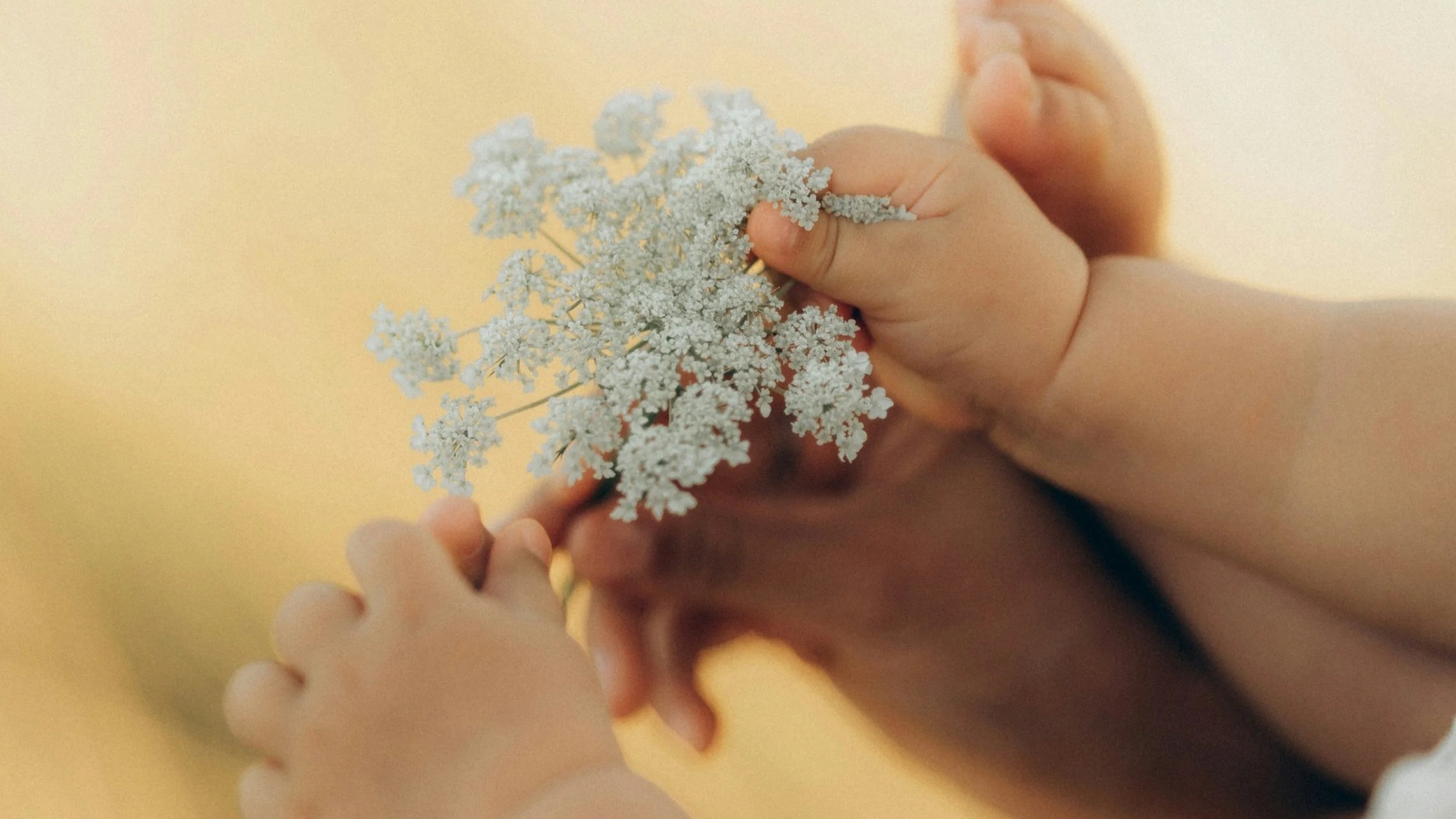 The psychological birth of the human infant