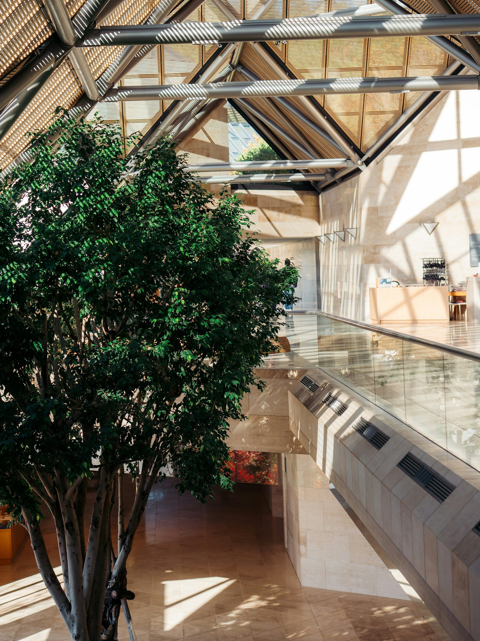 Interior view of a modern building with a large indoor tree, sunlight streaming through decorative slatted ceiling, and a glass railing alongside a staircase.