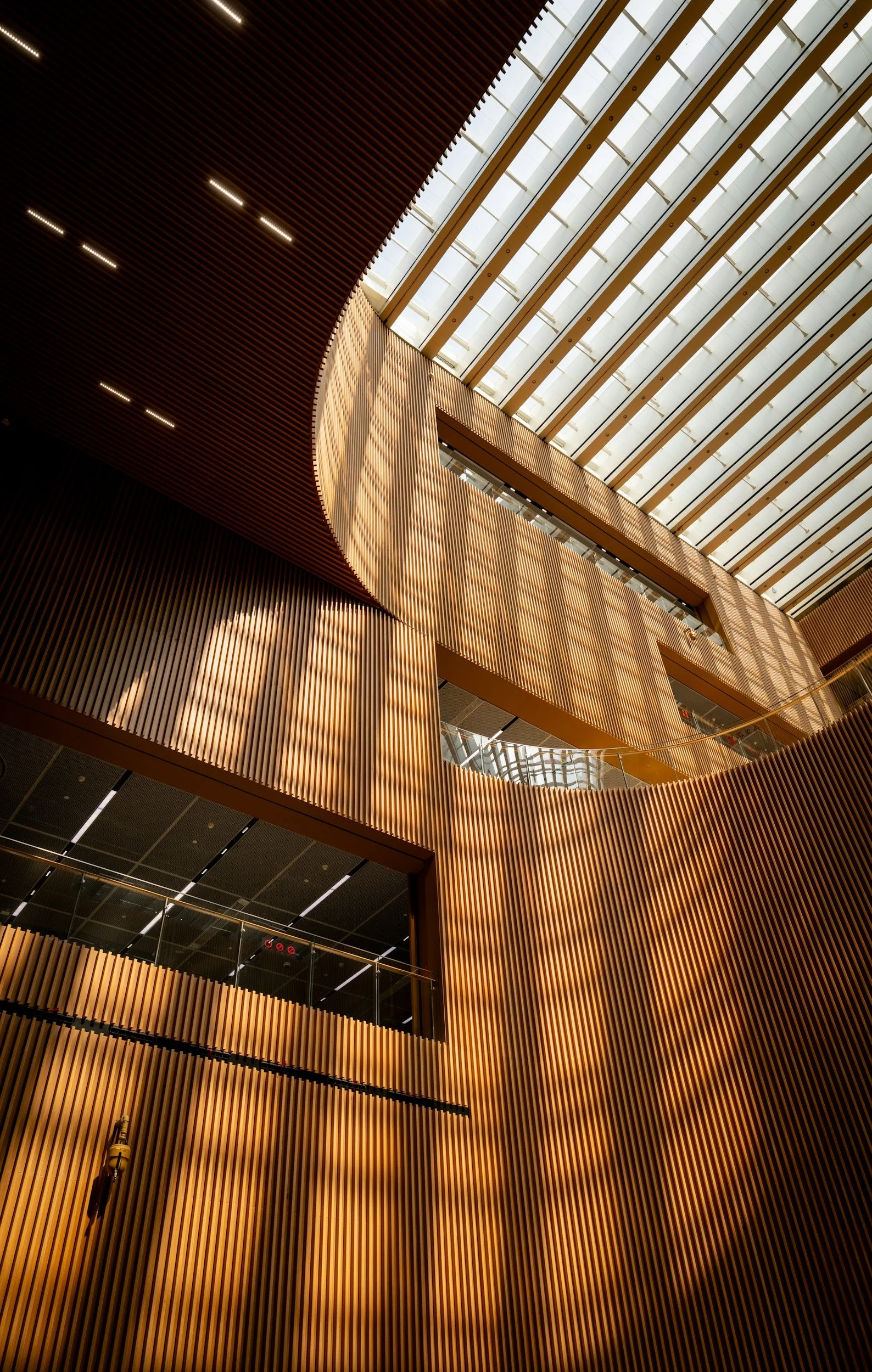 Interior of a modern building with wooden vertical slats and a curved ceiling with glass panels allowing natural light, showcasing architectural design.