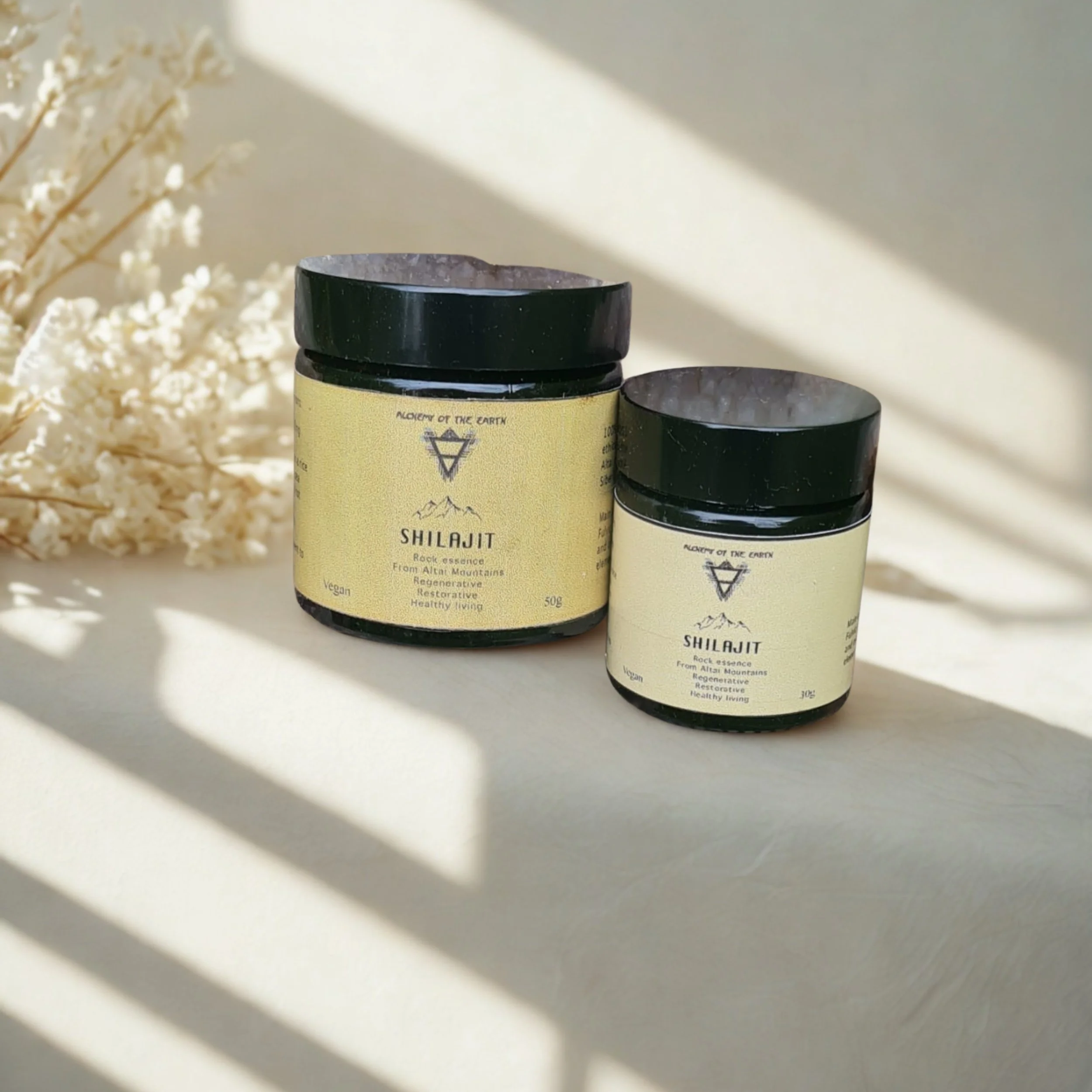 Shilajit Resin | Alchemy of the Earth