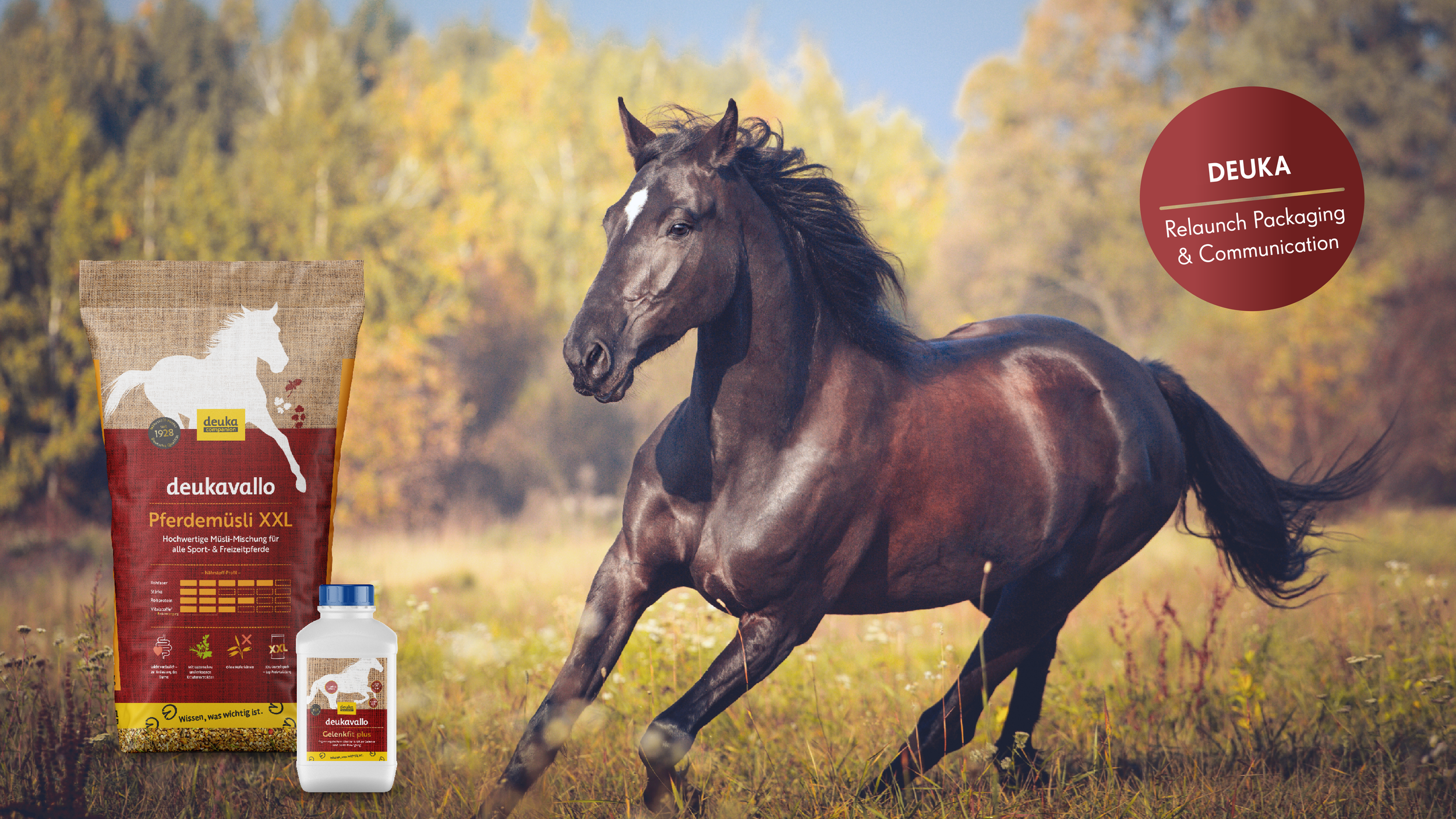 Ein galoppierendes braunes Pferd auf einer herbstlichen Wiese mit gelben und orangefarbenen Bäumen im Hintergrund. Auf der linken Seite befinden sich Verpackungen von Pferdefutter und Ergänzungsmitteln mit dem Markenlogo 'deukavallo'. In einer roten 