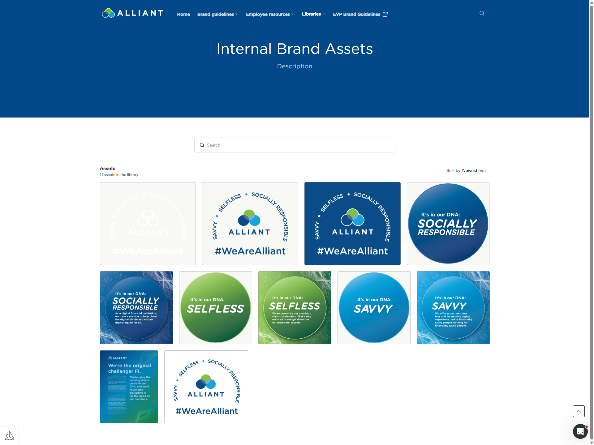 internal_brand_assets.png