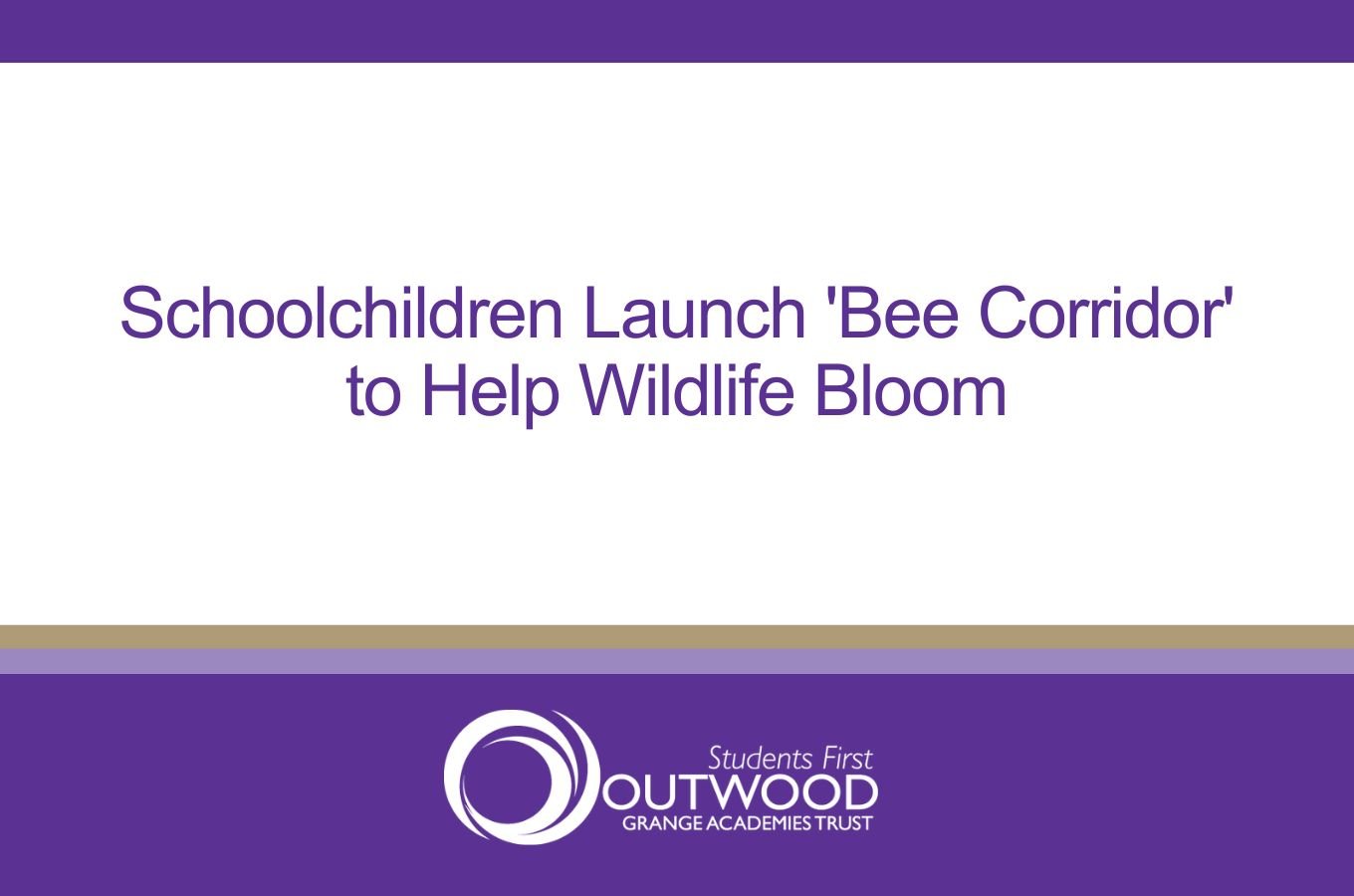 Schoolchildren Launch 'Bee Corridor' to Help Wildlife Bloom