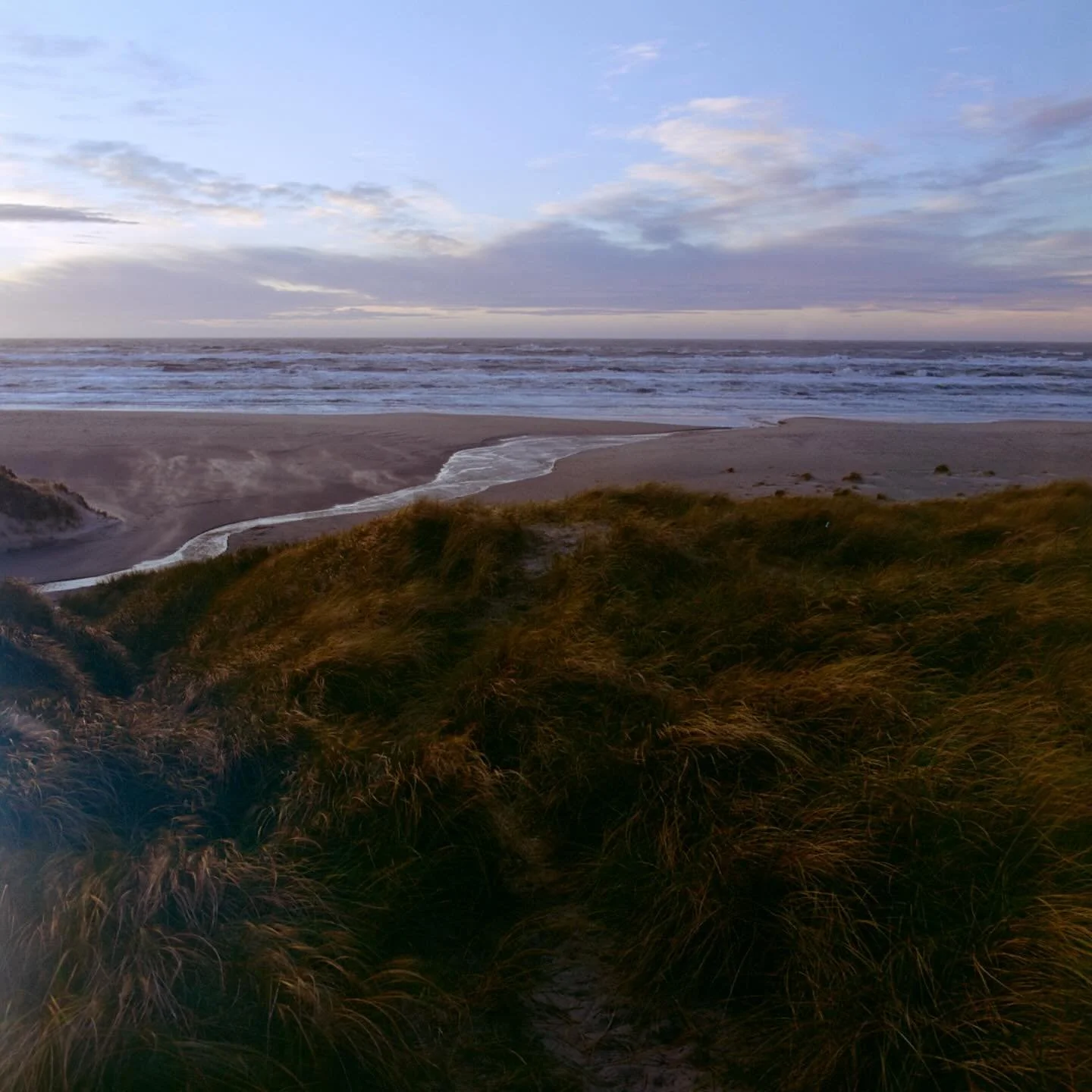hirtshals, october 25

wind, sand and the salt in the air always refreshes for the fall to come. a neverending tradition.

#thewestcoastjournal
