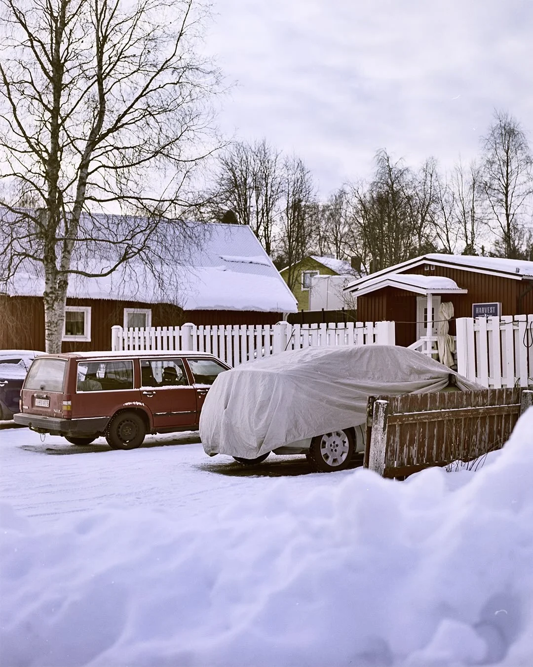 dear 2026, please make me a bit of the same good memories as I got in 2025

#homedeveloped #staybrokeshootﬁlm #shotonurth