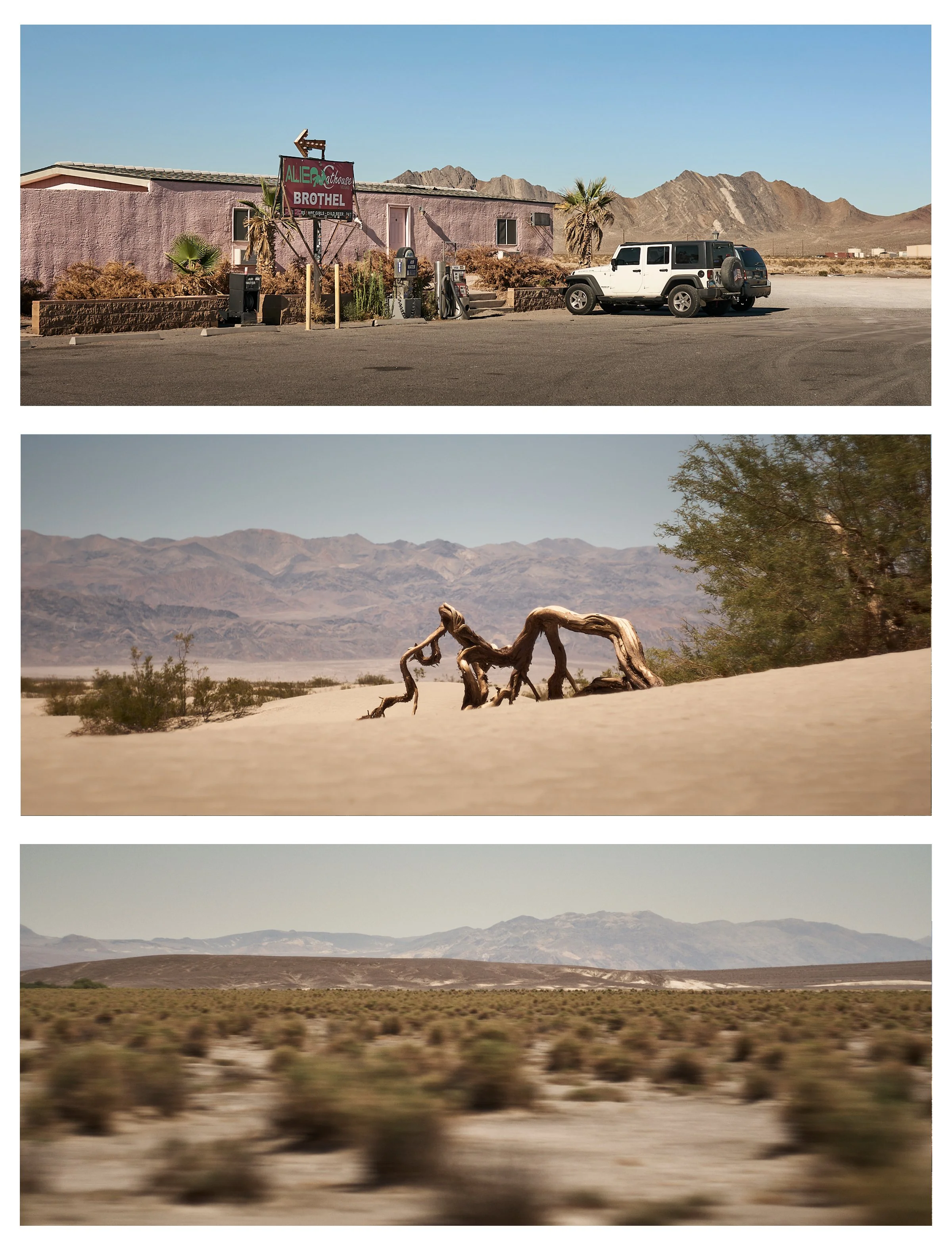 Desert_2.jpg