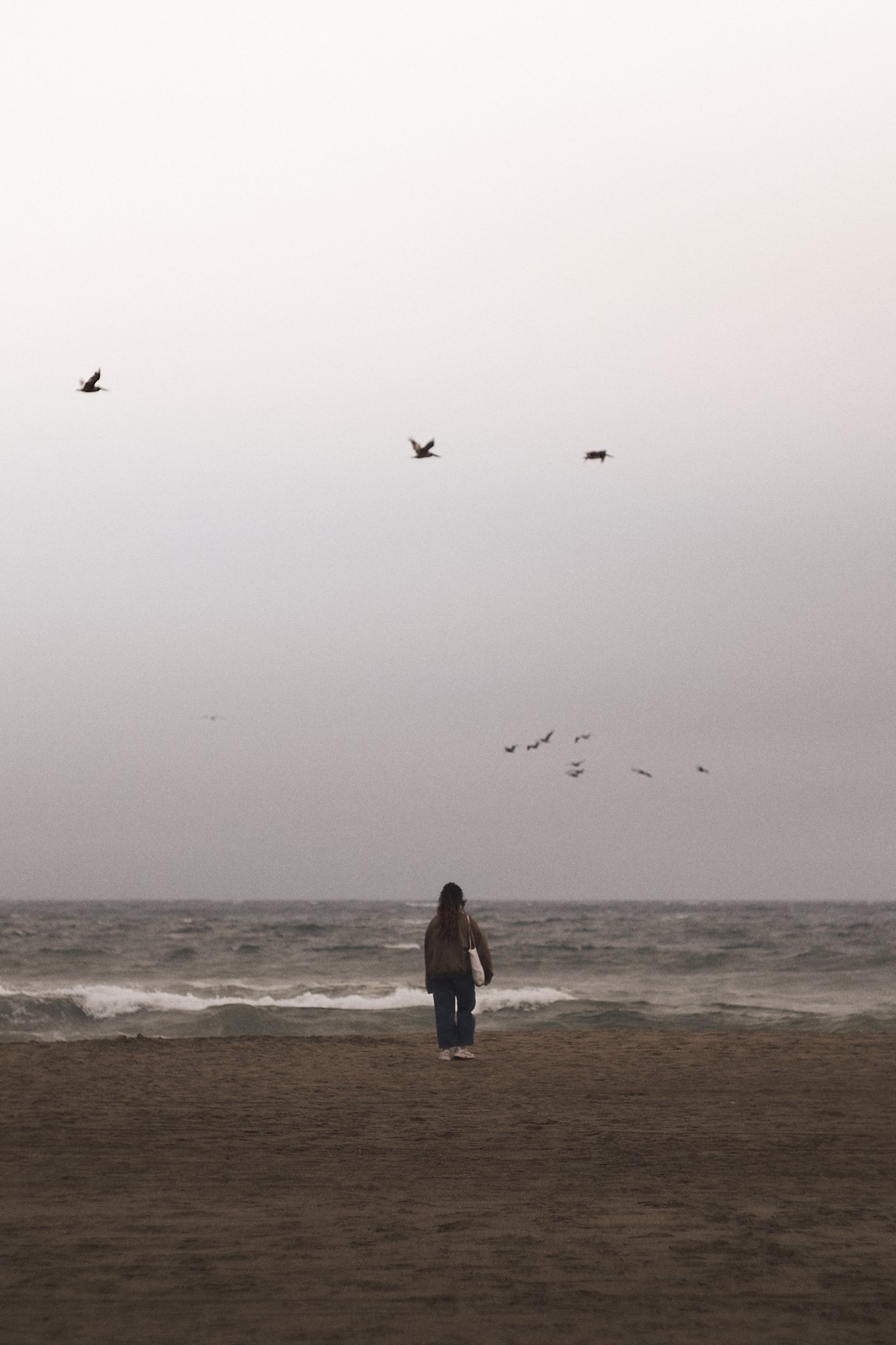 Wander, Ocean Beach.jpg