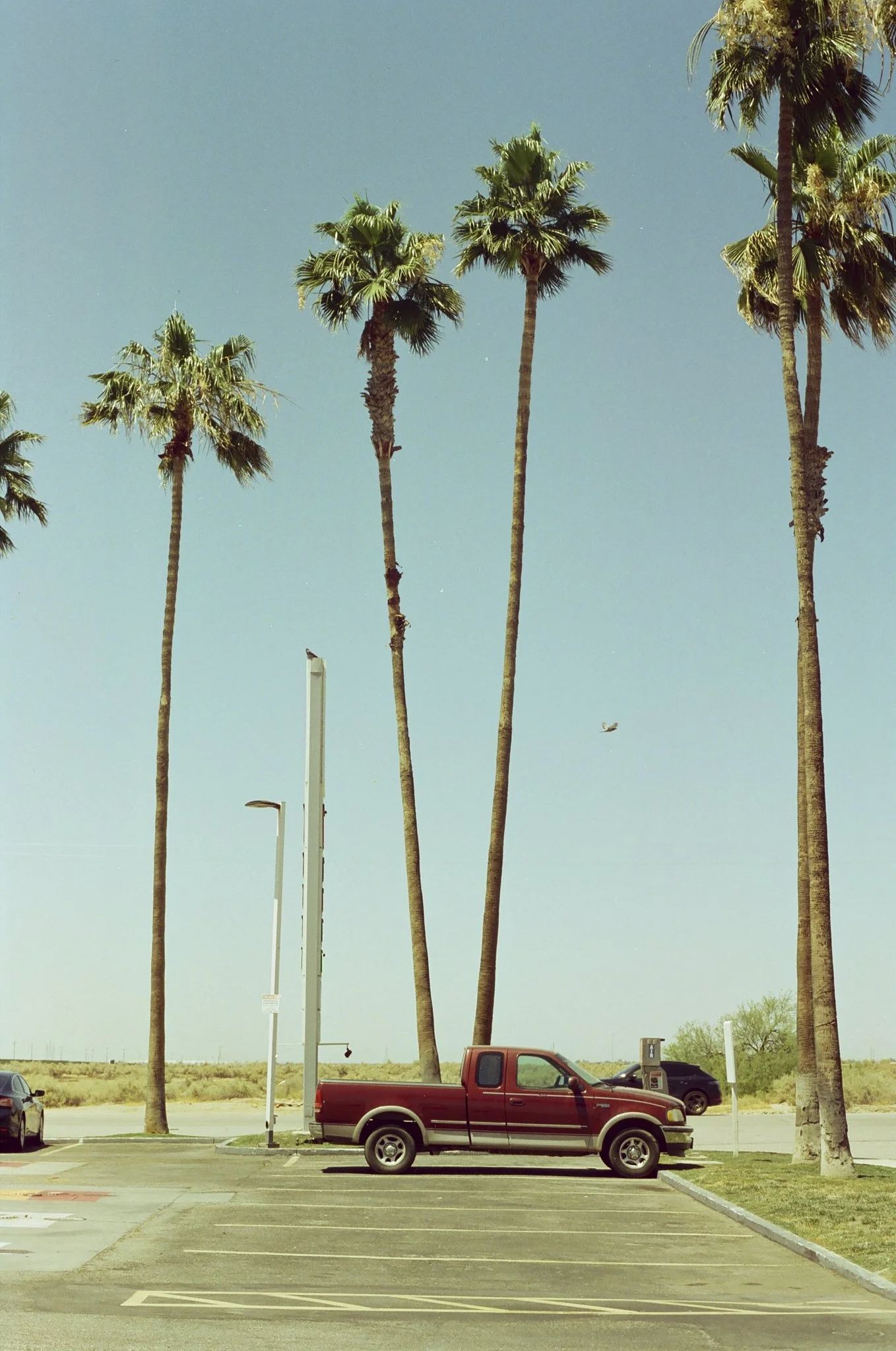 TheAmericanJournal_002_AKB.jpg