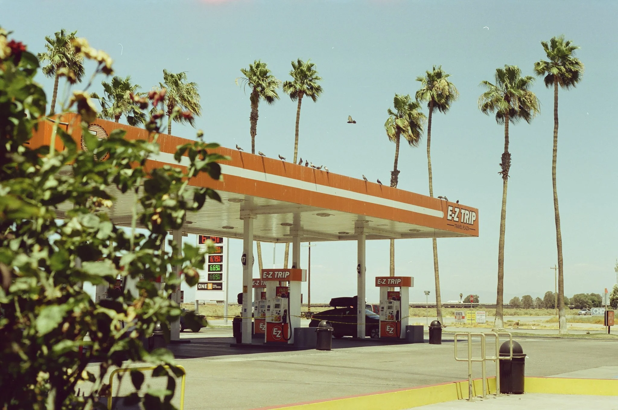 TheAmericanJournal_018_AKB.jpg