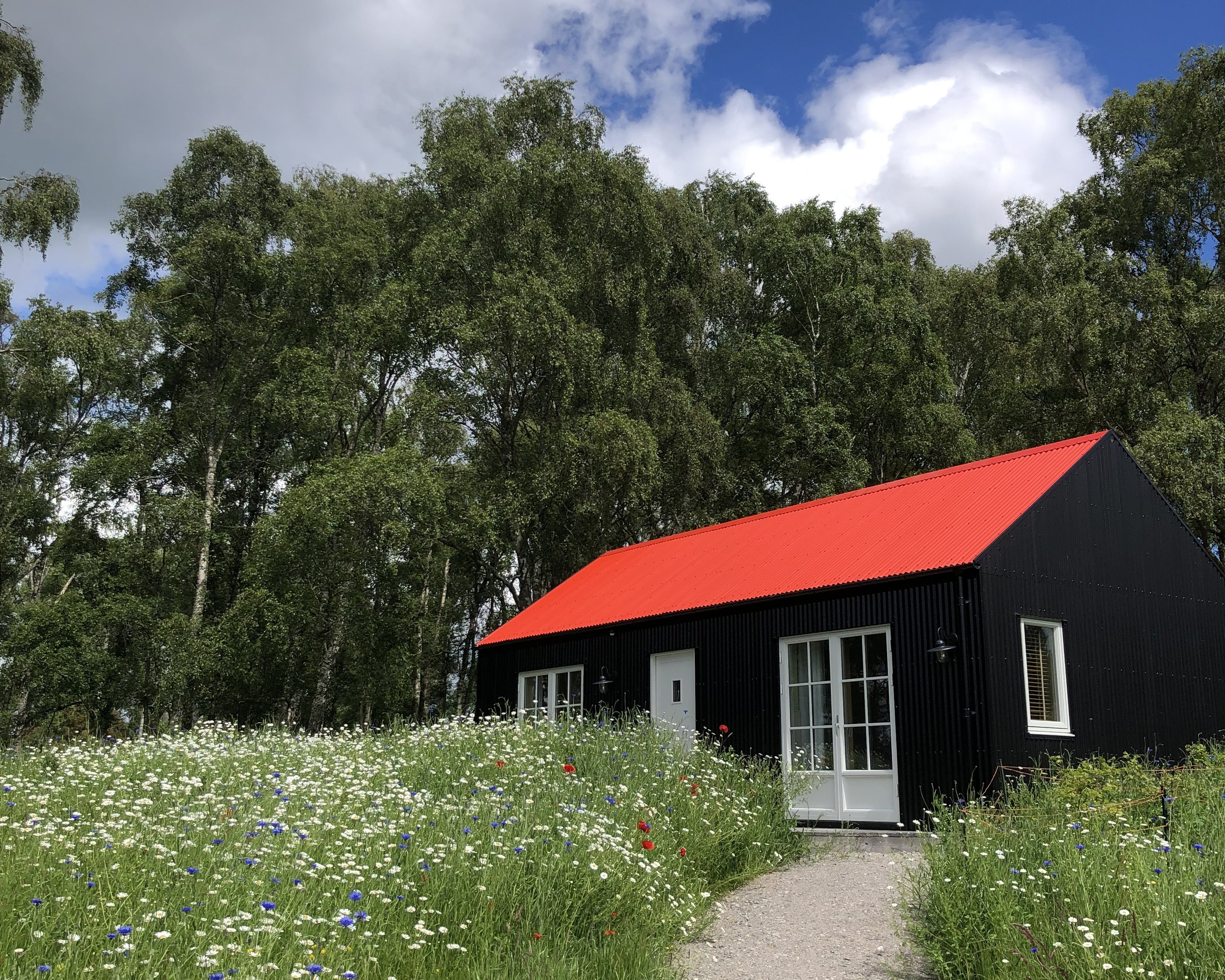 cabin 3 01.jpg