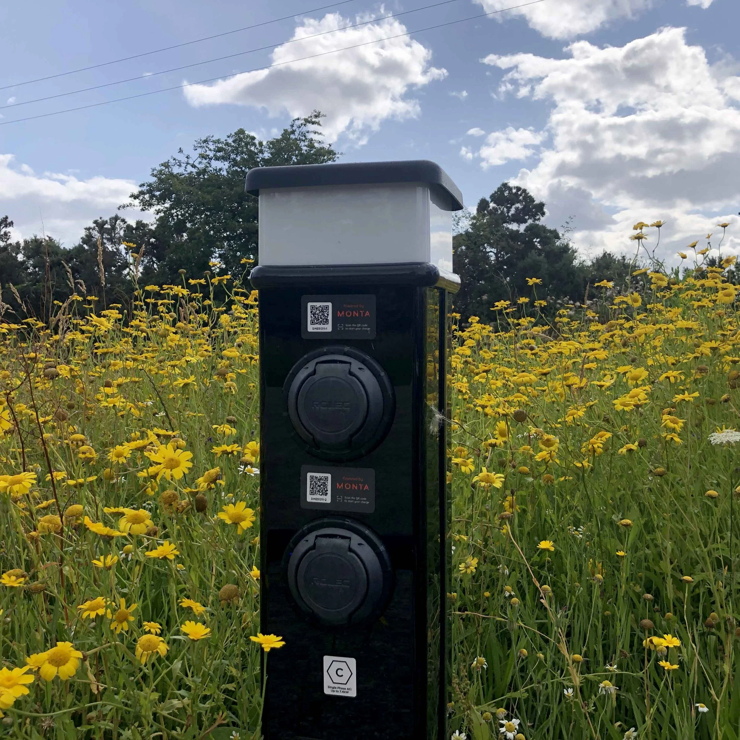 EV charger in front of wildflower meadow