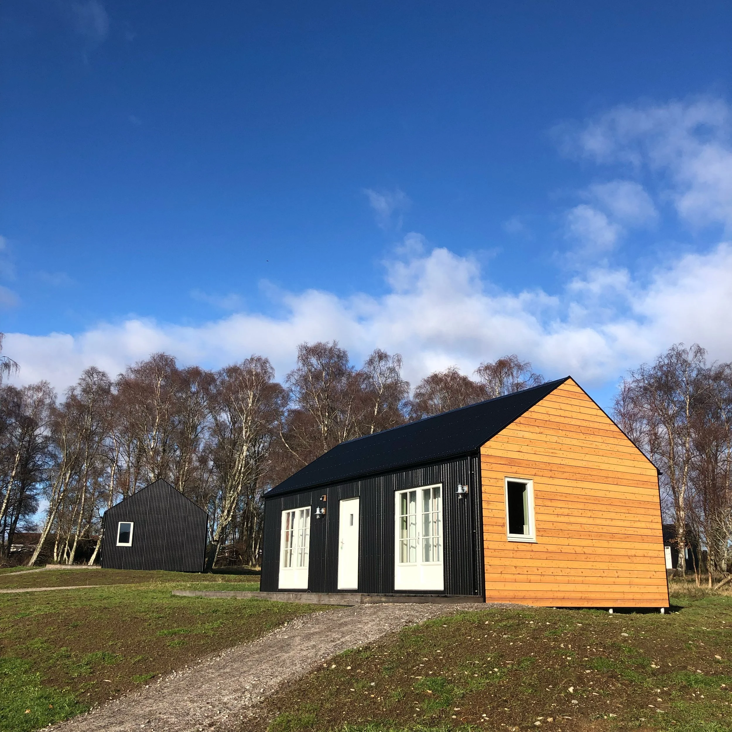 black tin and wood cabin in late winter sun blue sky birch forest Scottish Highlands