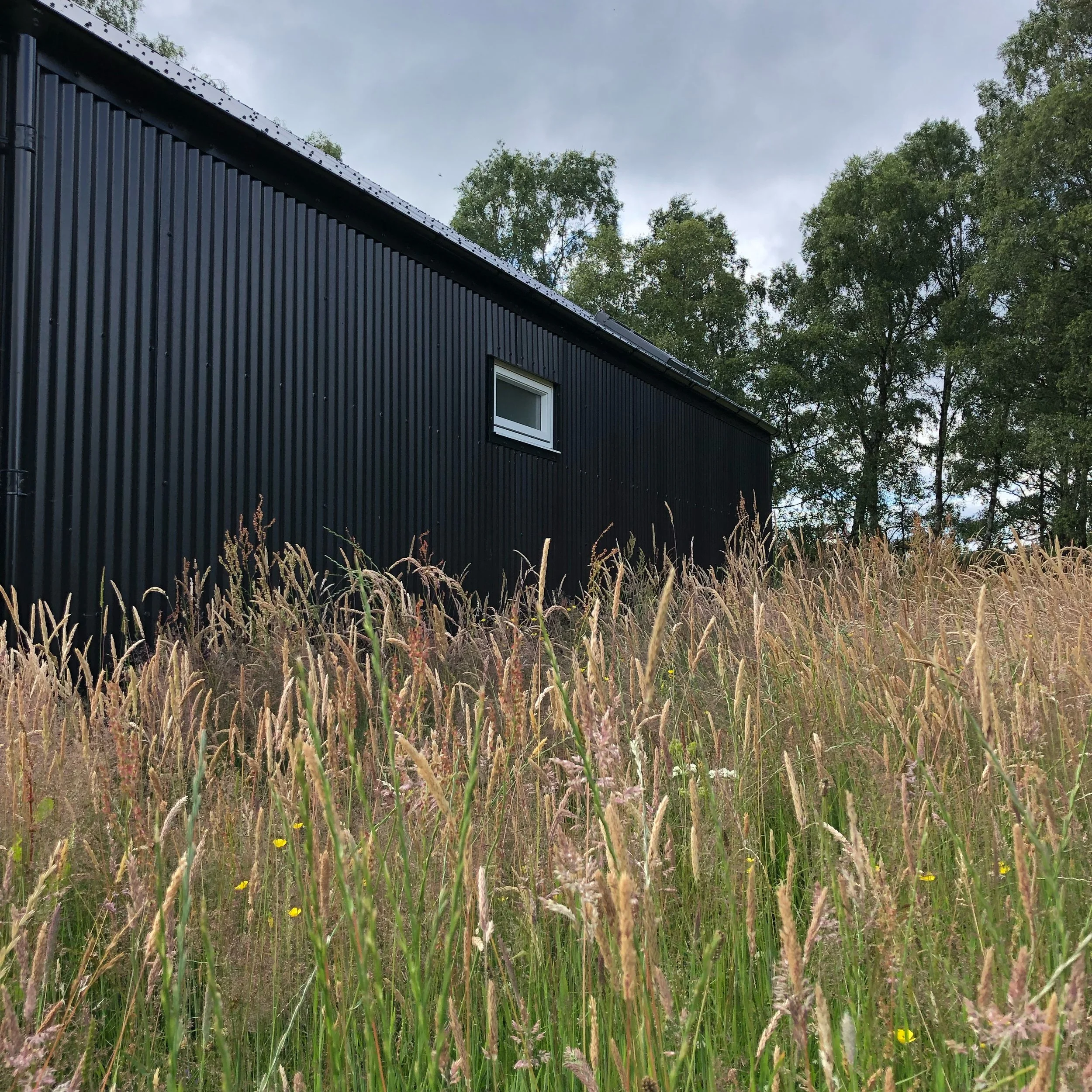 black tin cabin in meadow Scottish Highlands