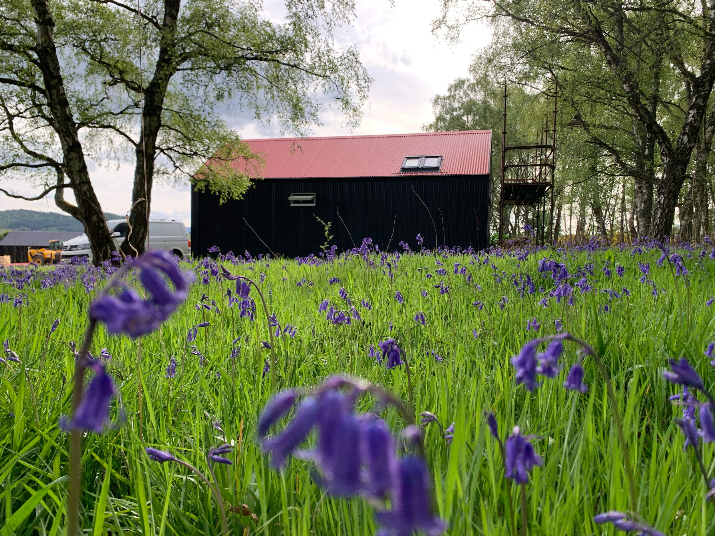 black tin cabin in bluebell meadow Scottish Highlands construction