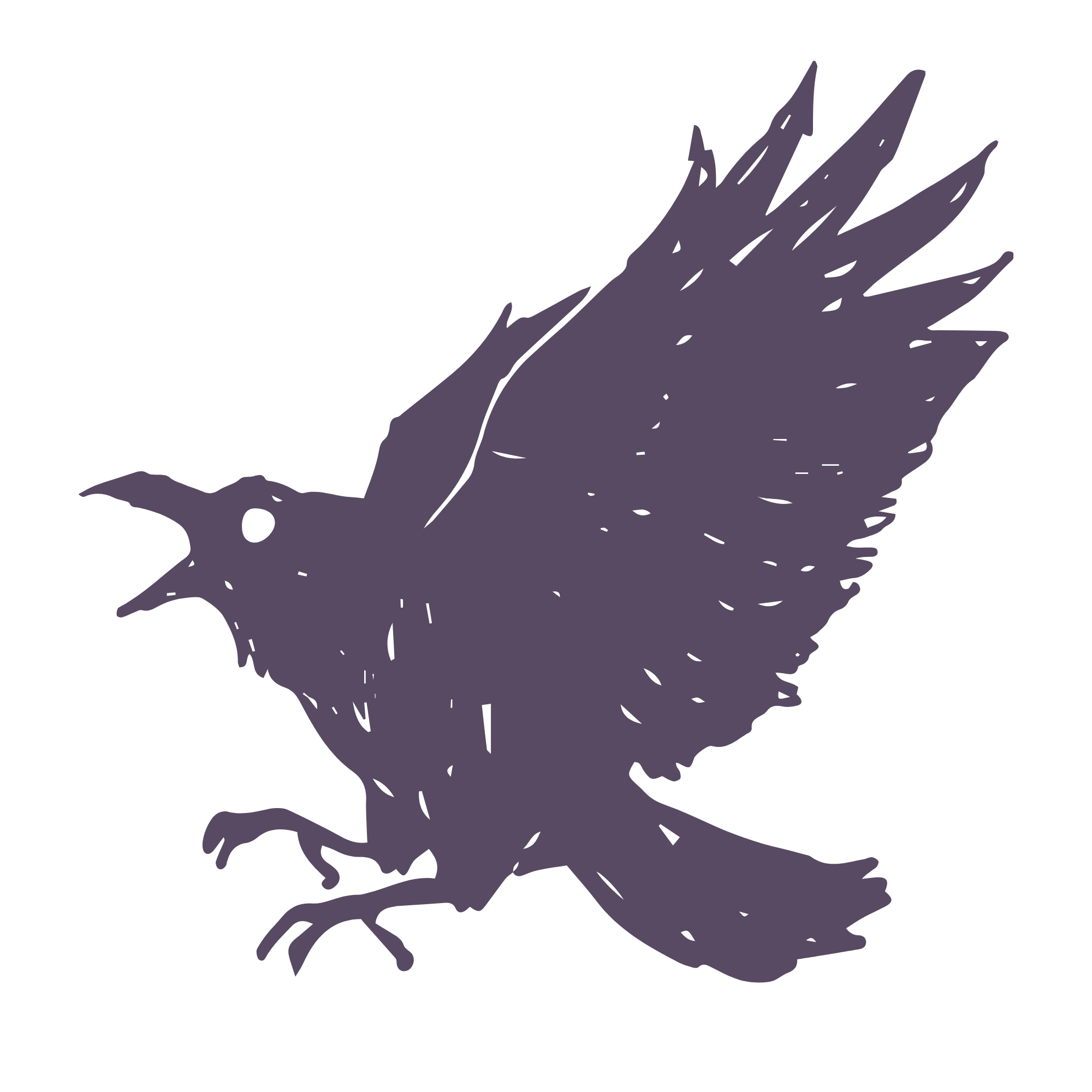 Silhouette of a raven with wings spread wide, facing left, in dark purple against a black background.