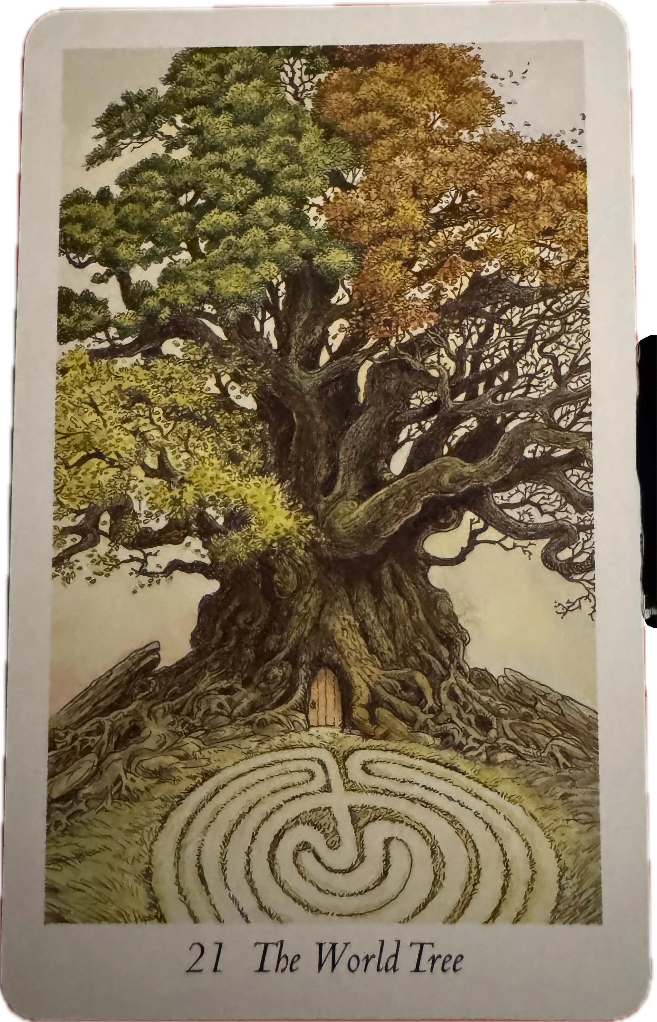 The World Tree tarot card showing a vast ancient tree with seasonal foliage and a labyrinth at its roots