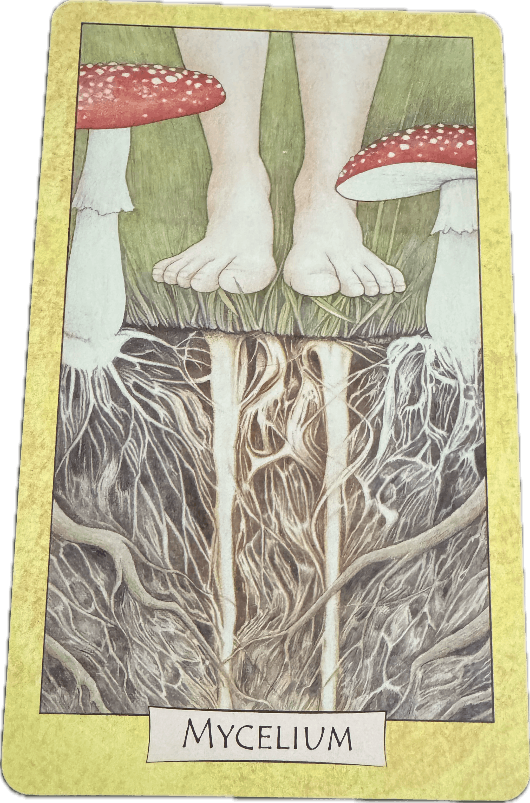 Foundations and beginnings.