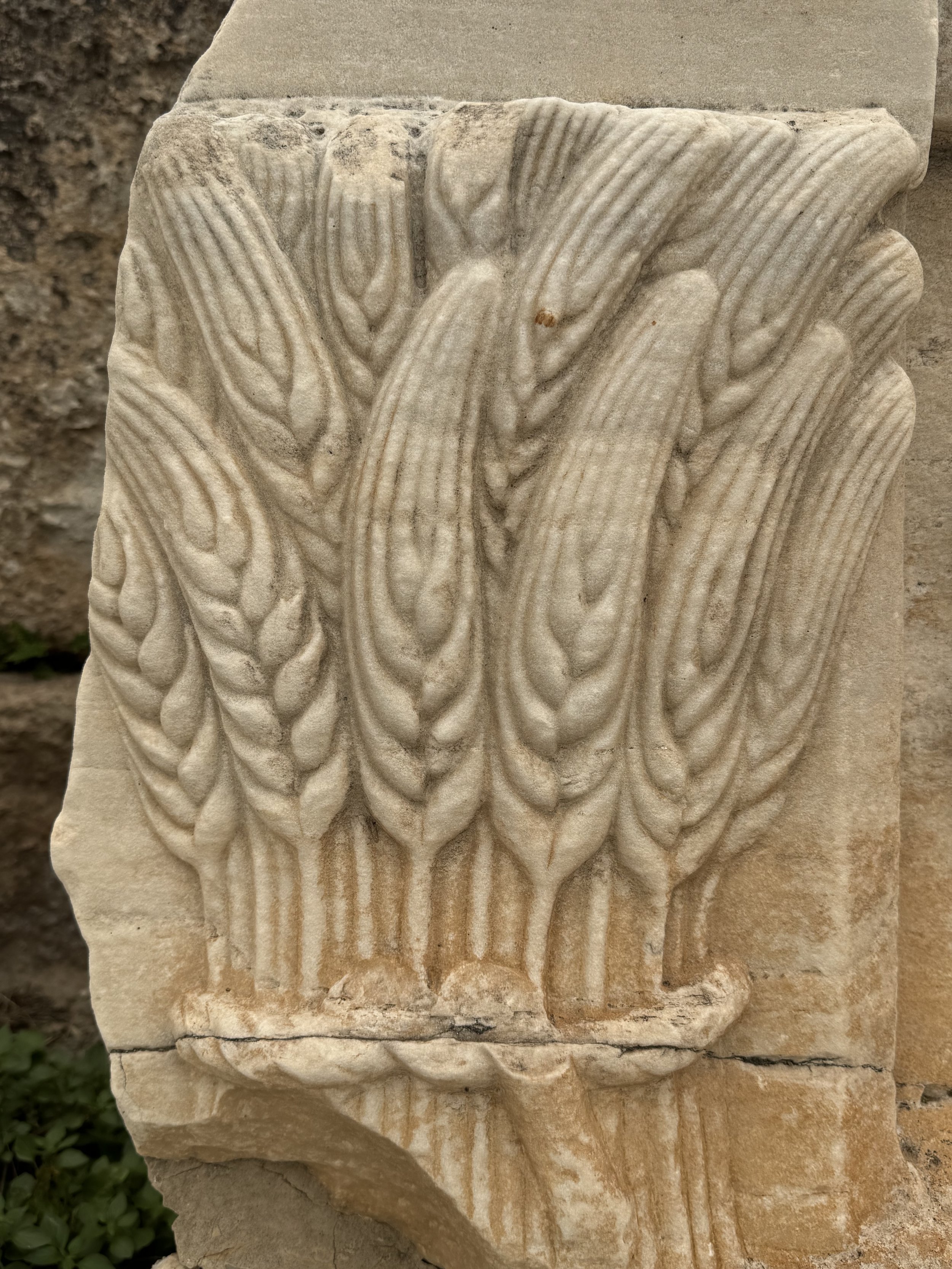 Ancient carved relief of wheat sheaves, symbol of the Lammas grain harvest